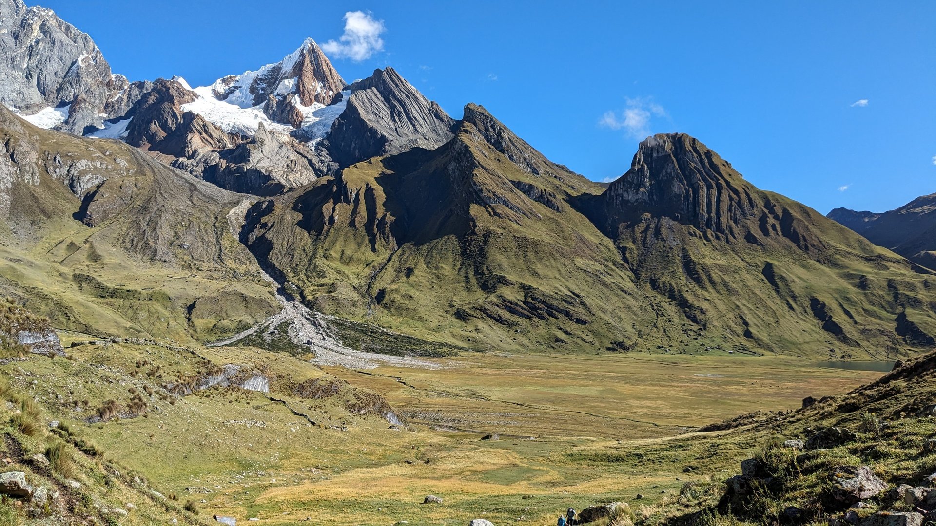 black blue and yellow textile