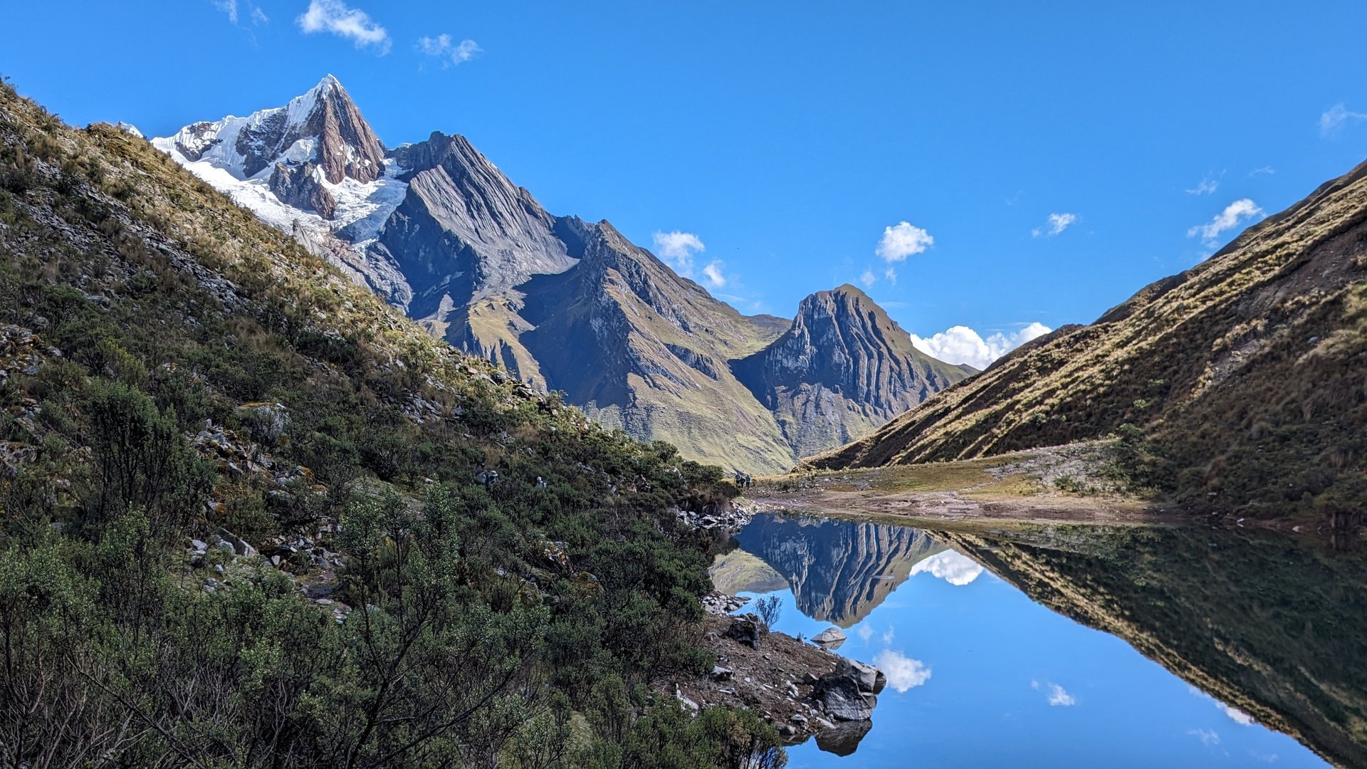 black blue and yellow textile