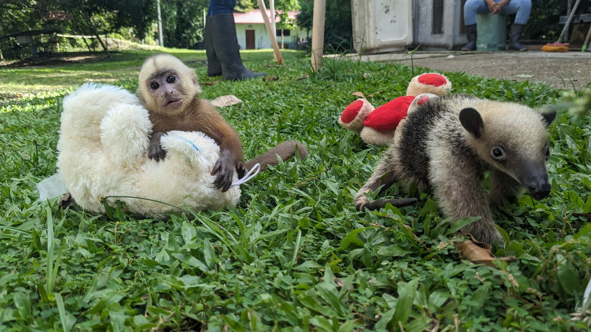 a couple sits on a rock looking out over a lake