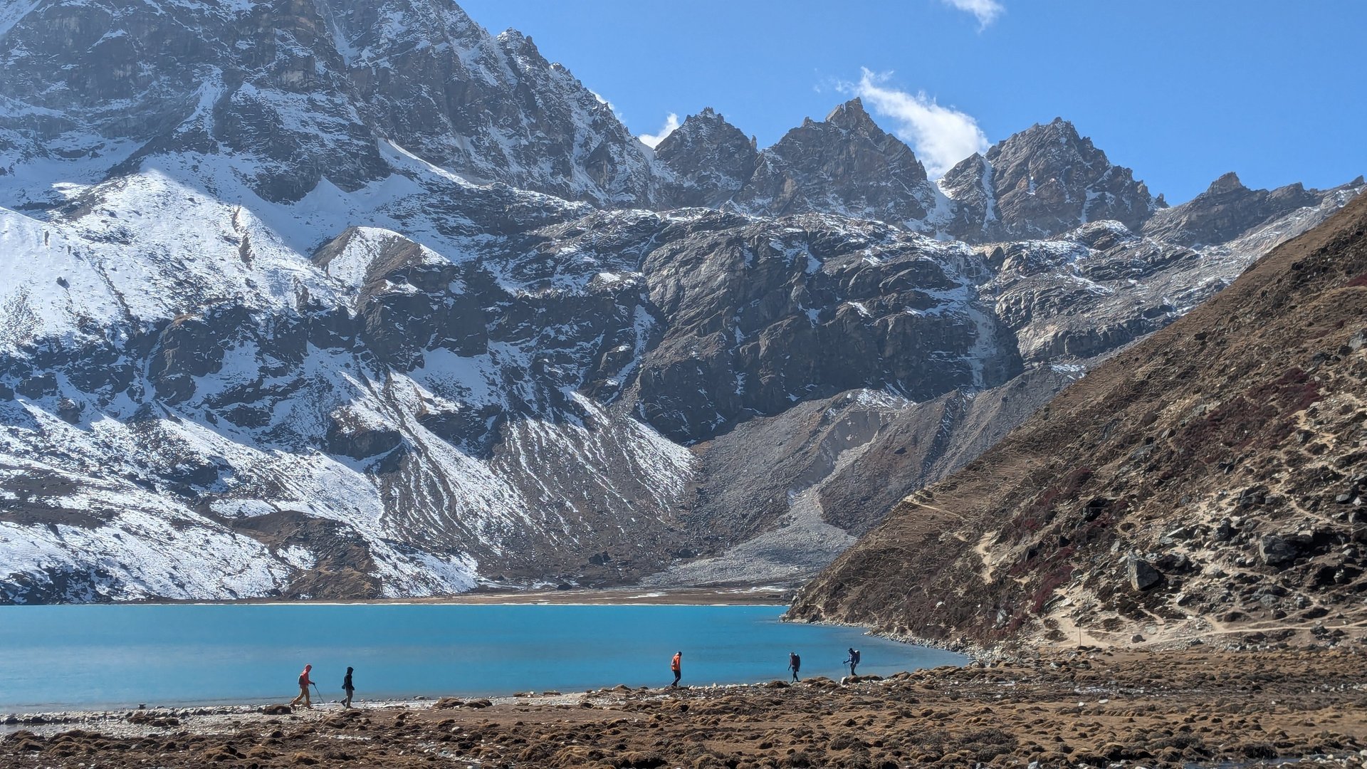 black blue and yellow textile