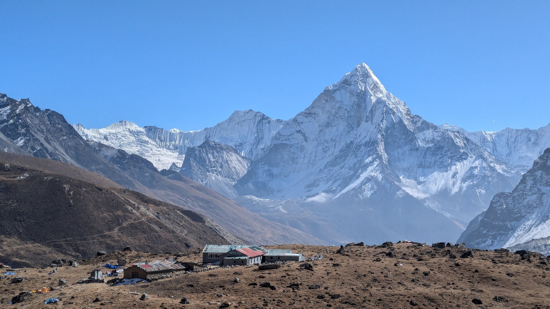 black blue and yellow textile