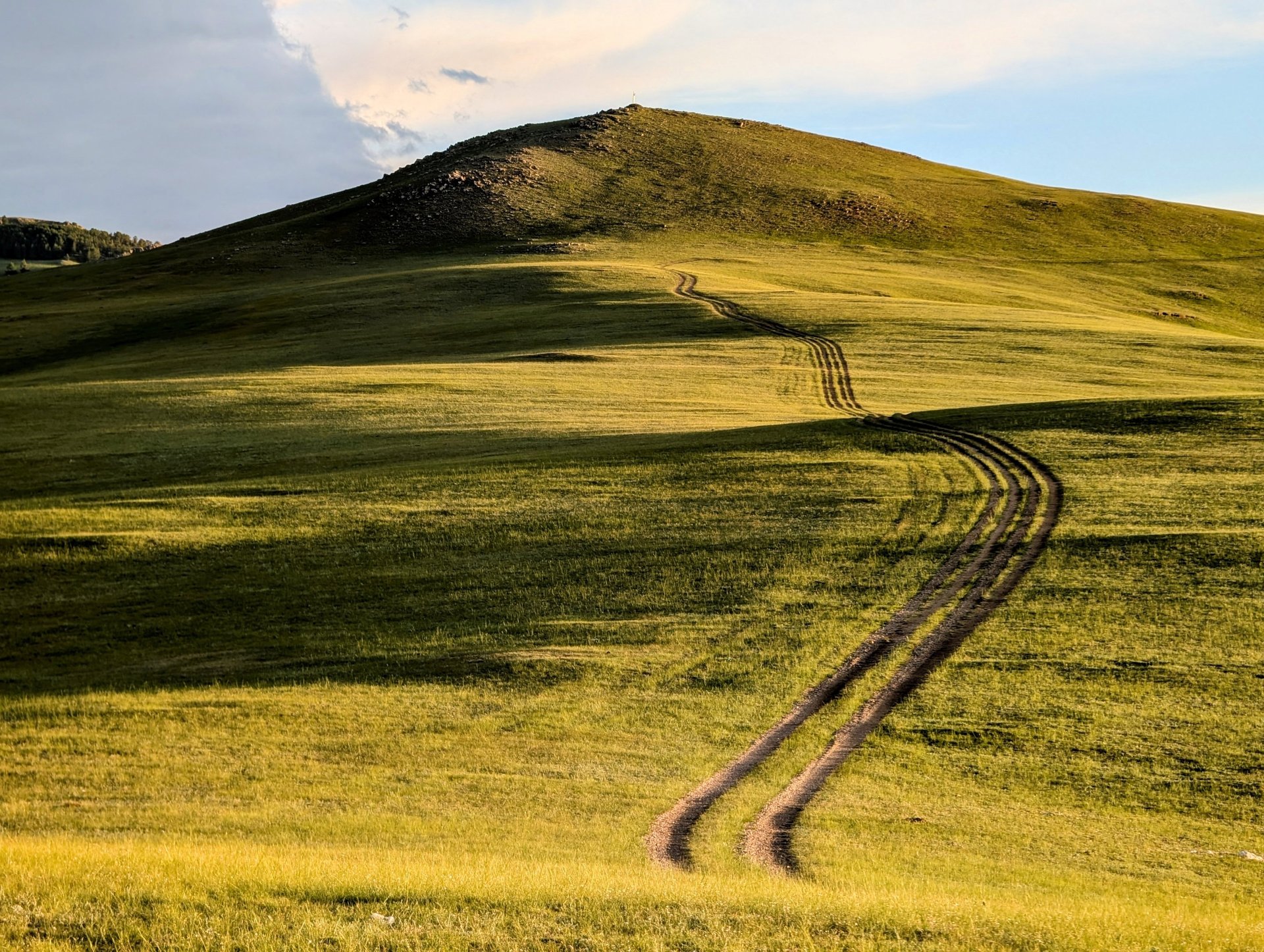 black blue and yellow textile