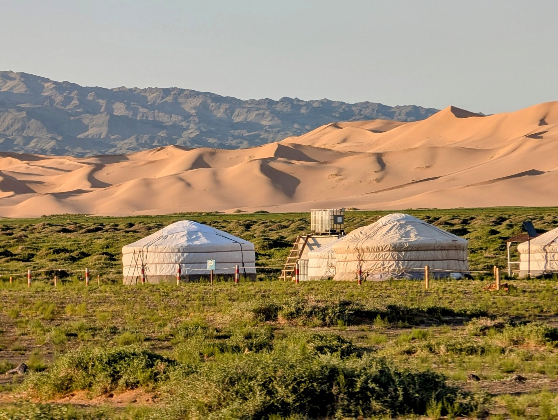 black blue and yellow textile