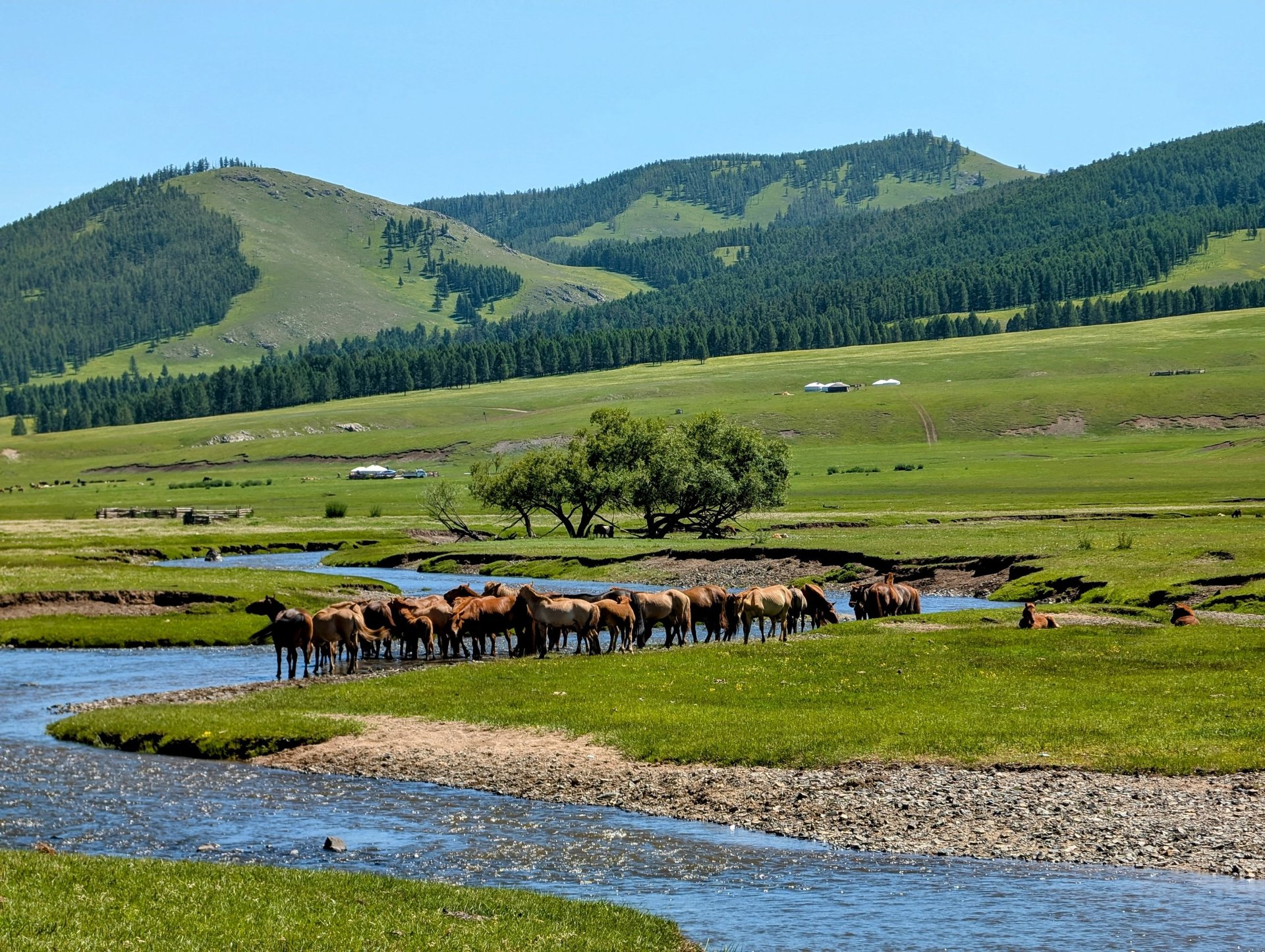 black blue and yellow textile