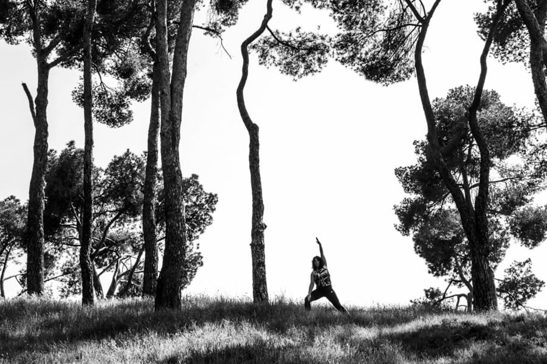 2 black dumbbells on black surface