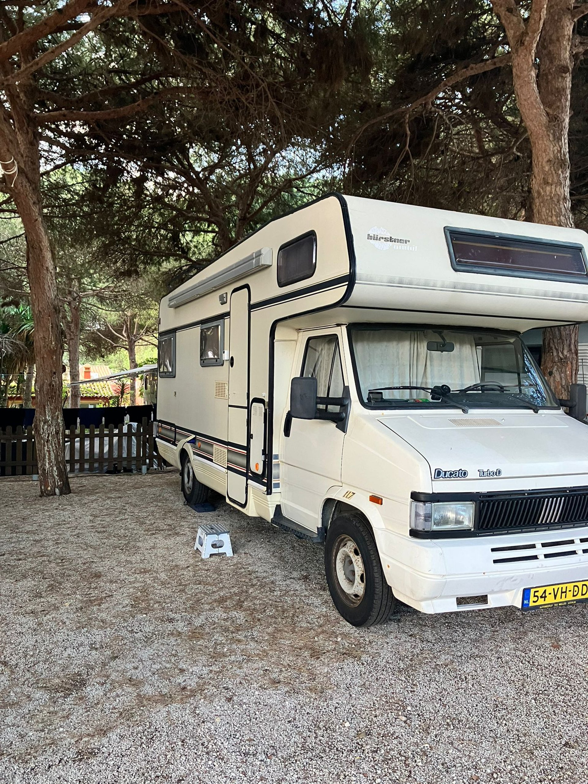 white recreational van