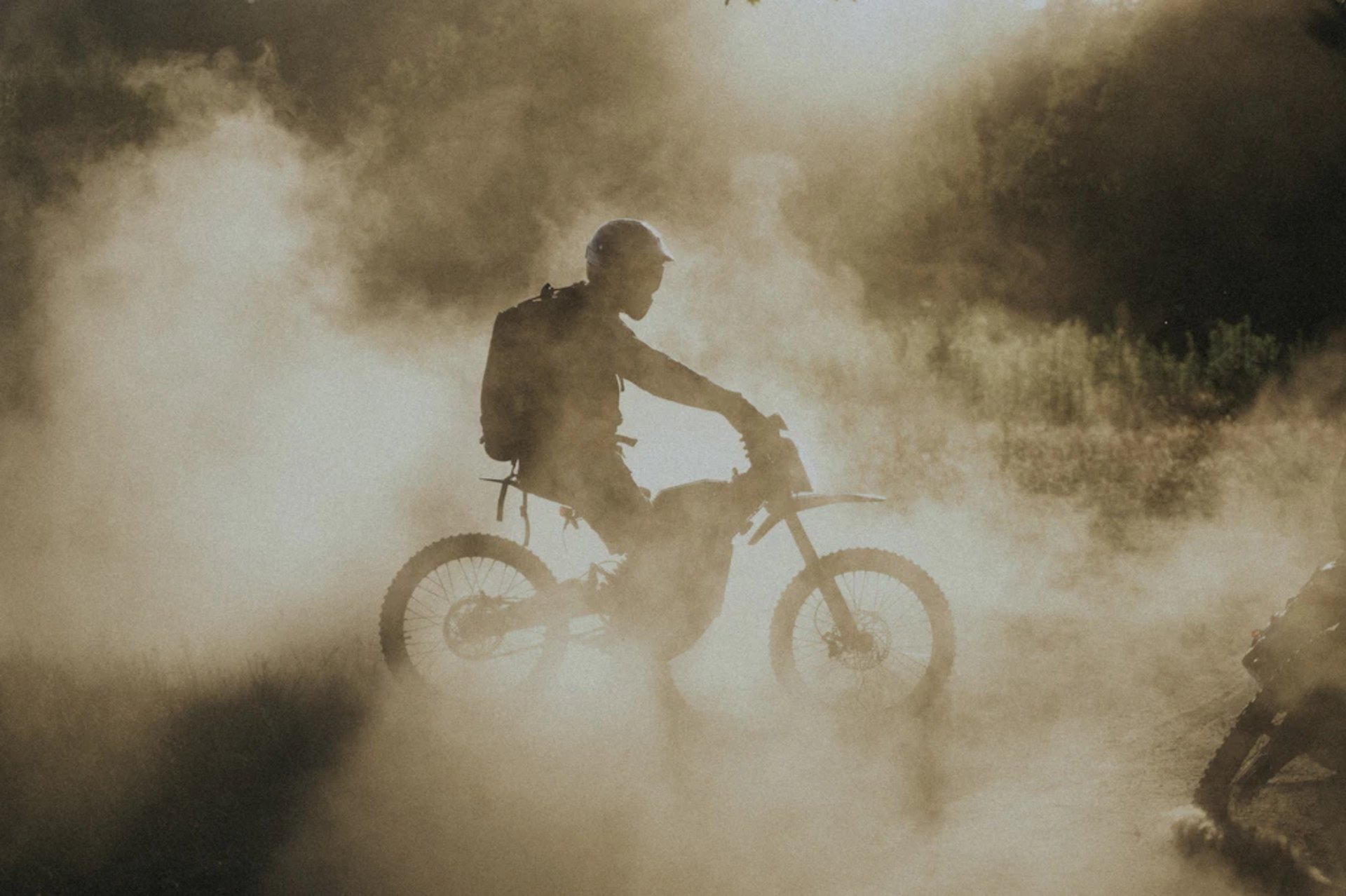 a dirt road in the middle of a forest