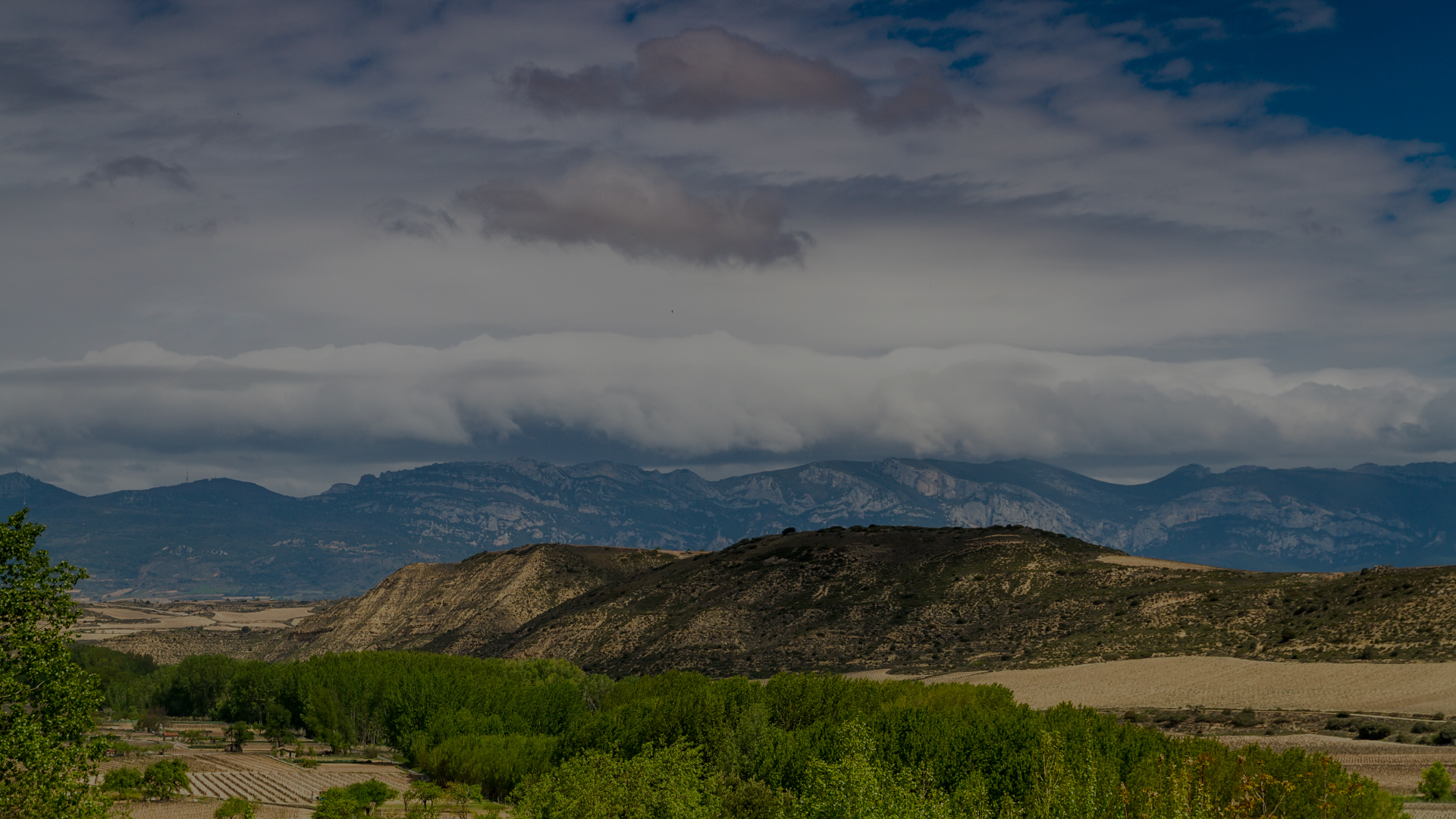 black blue and yellow textile
