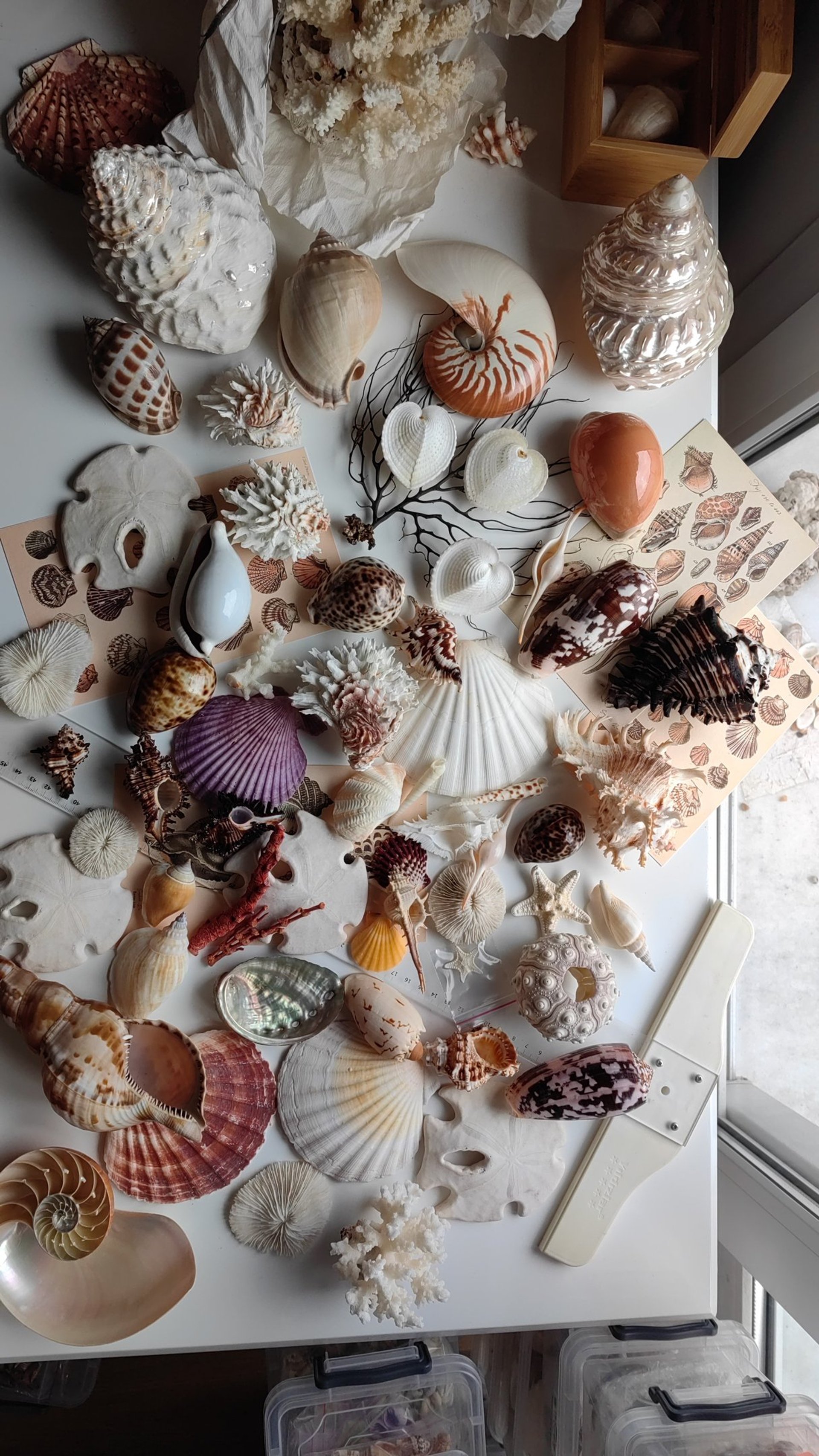 woman wearing yellow long-sleeved dress under white clouds and blue sky during daytime