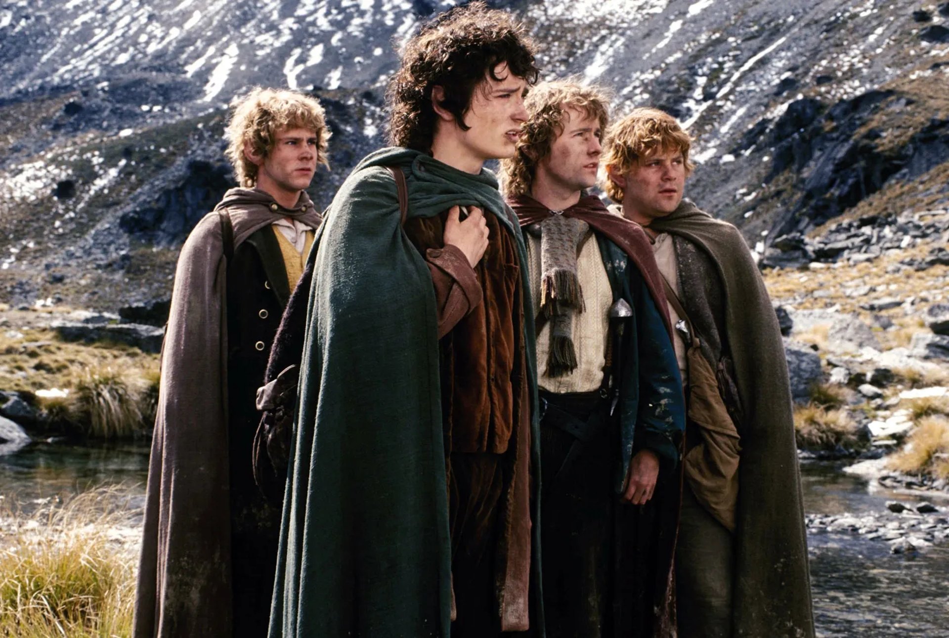 white and brown guinea pig on brown wood