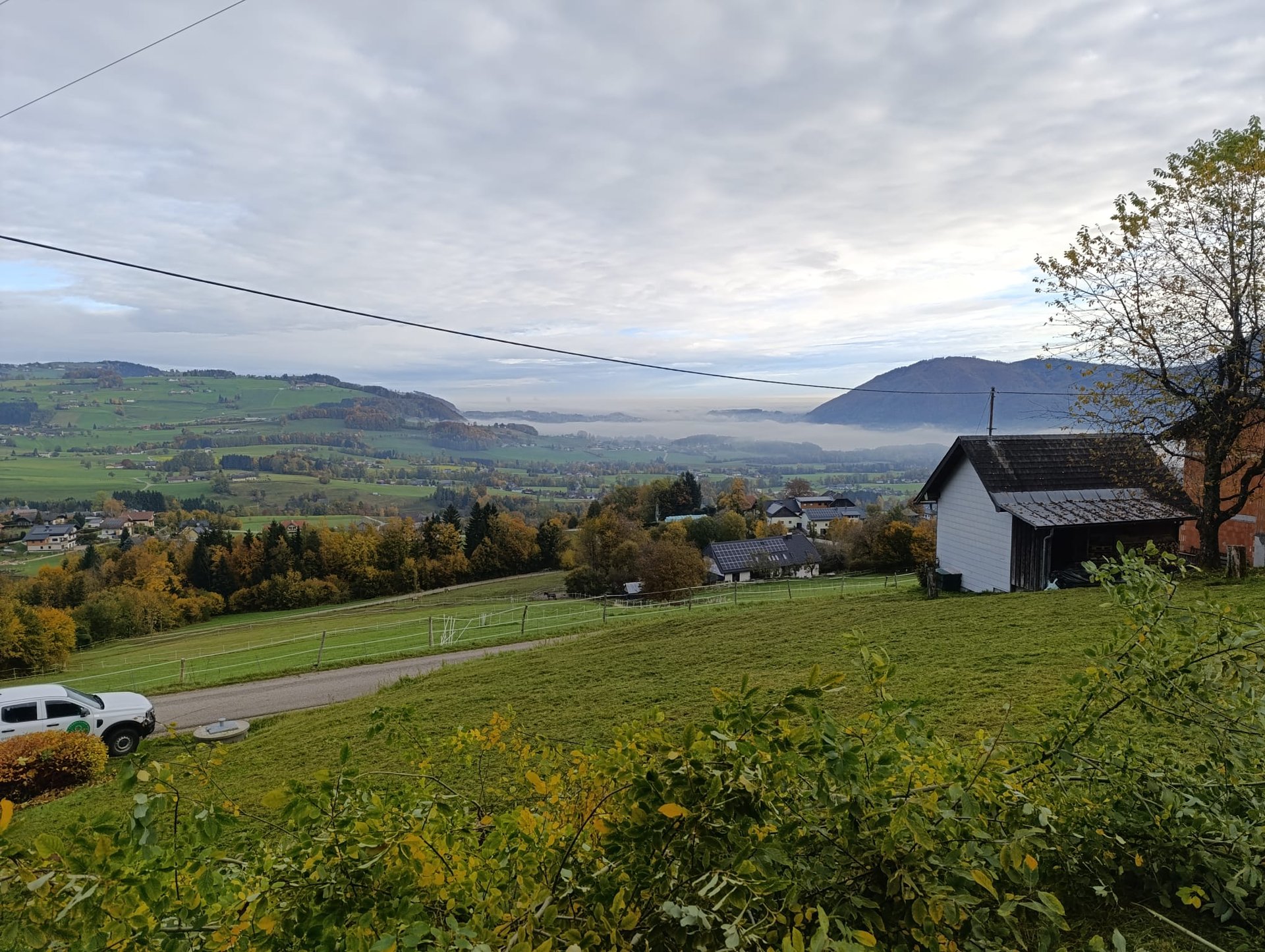black blue and yellow textile