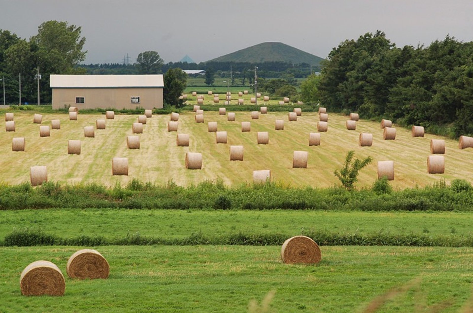 black and white bed linen