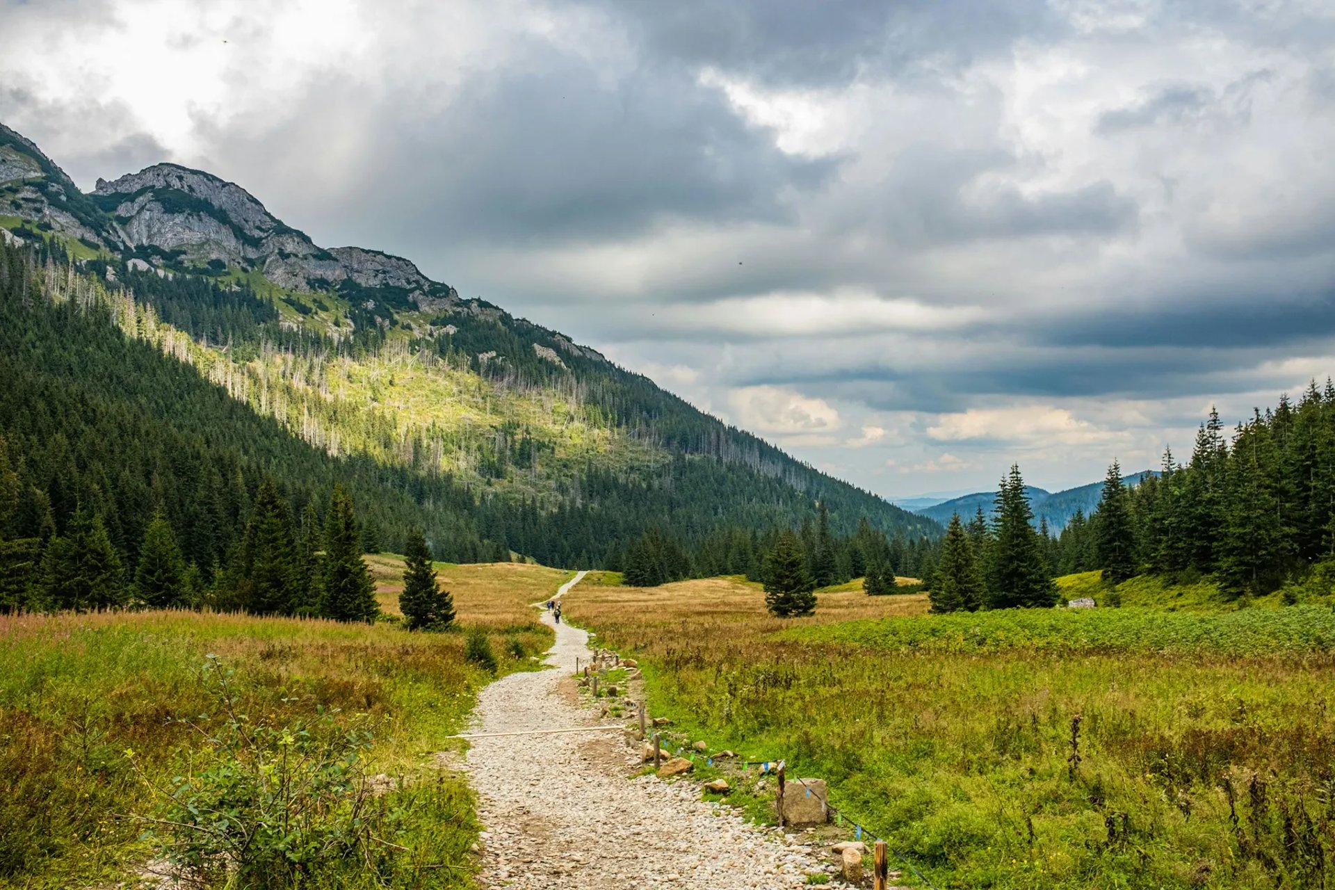 beautiful landscape of mountains and trail