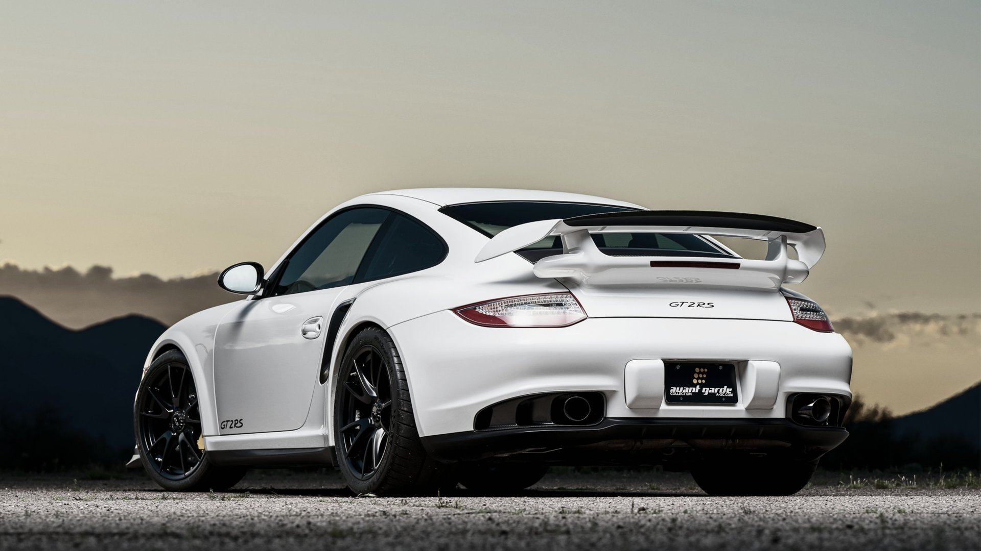 woman holding dried flower