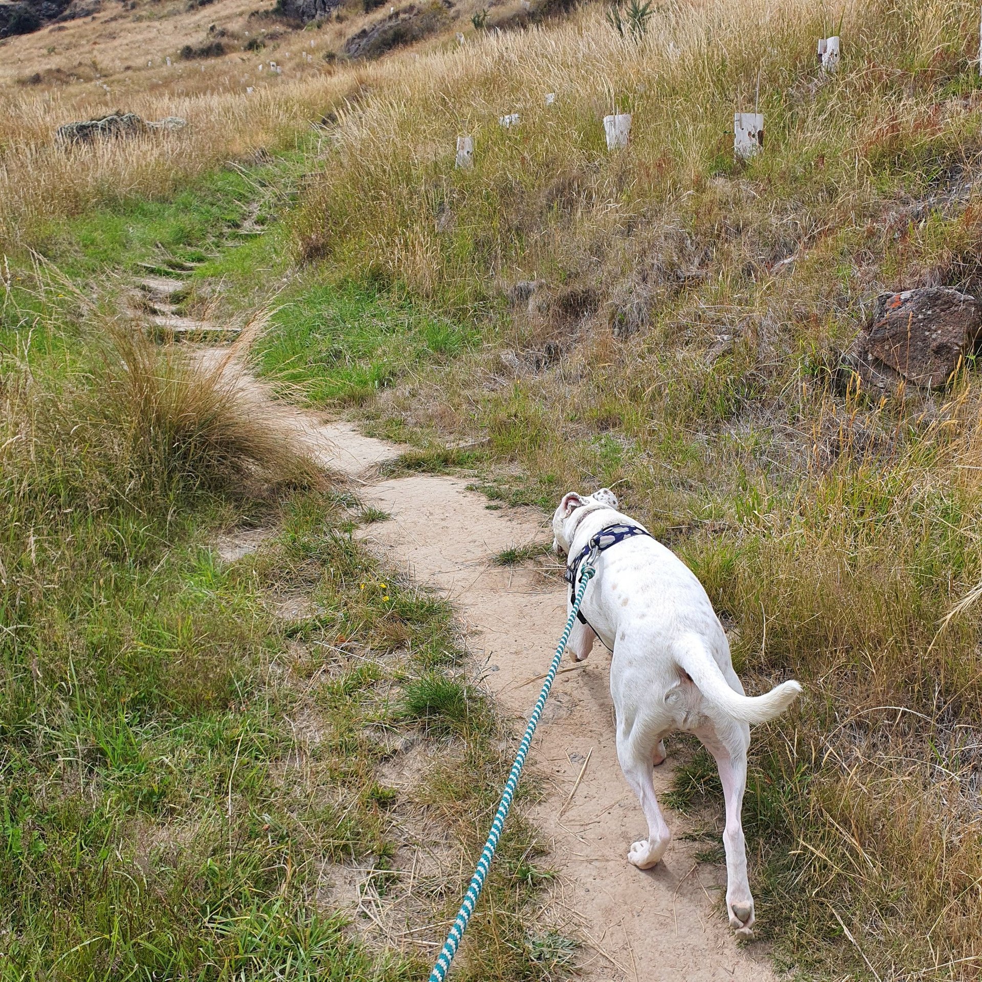 gray computer monitor