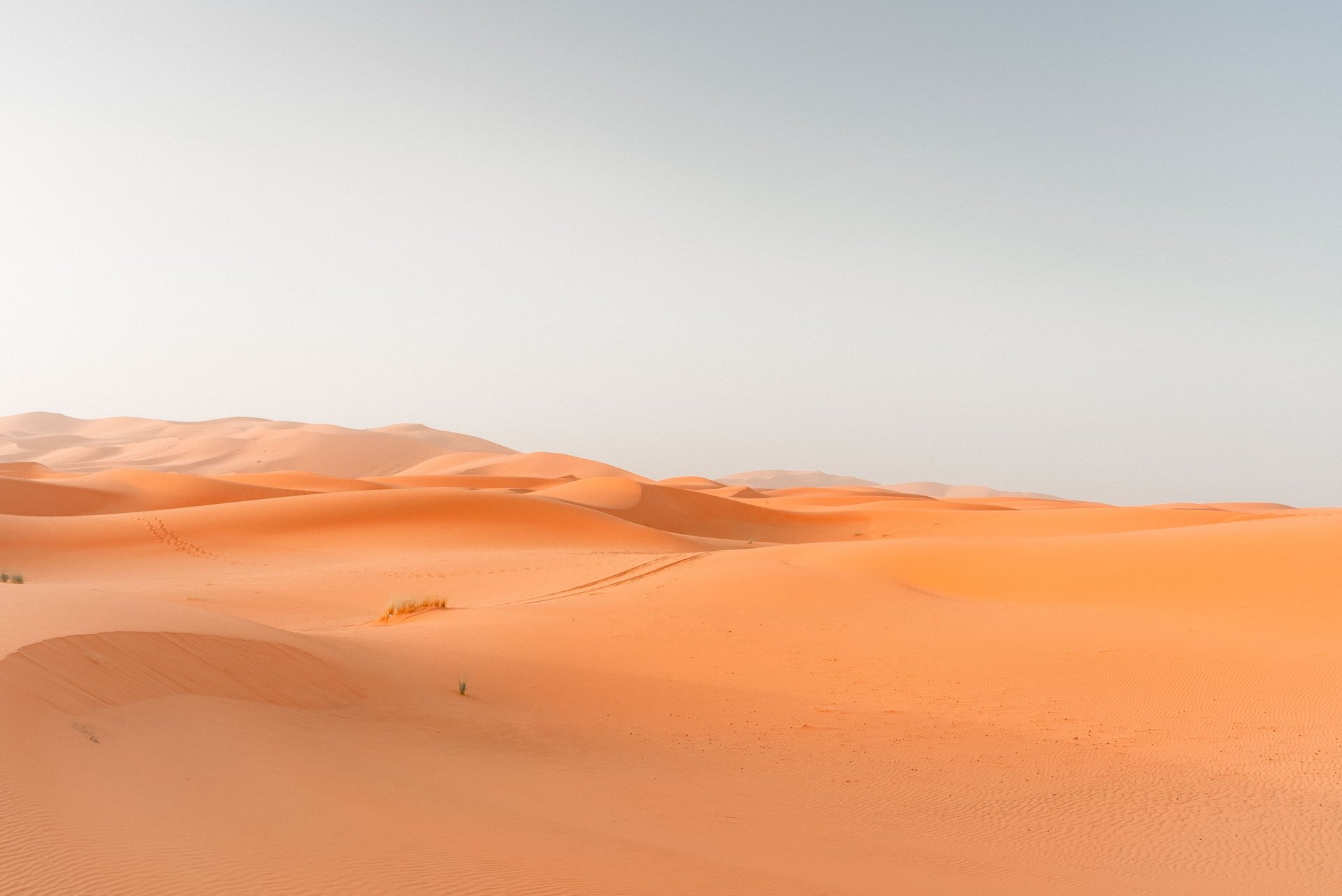 person walking on beach during daytime