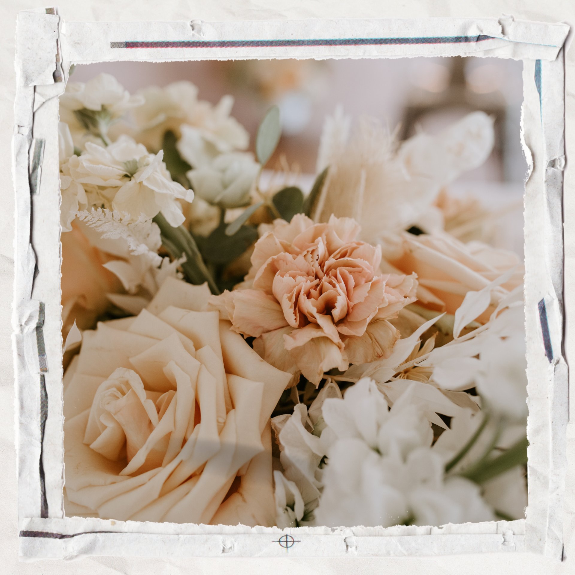 white and brown flowers on brown dried leaves