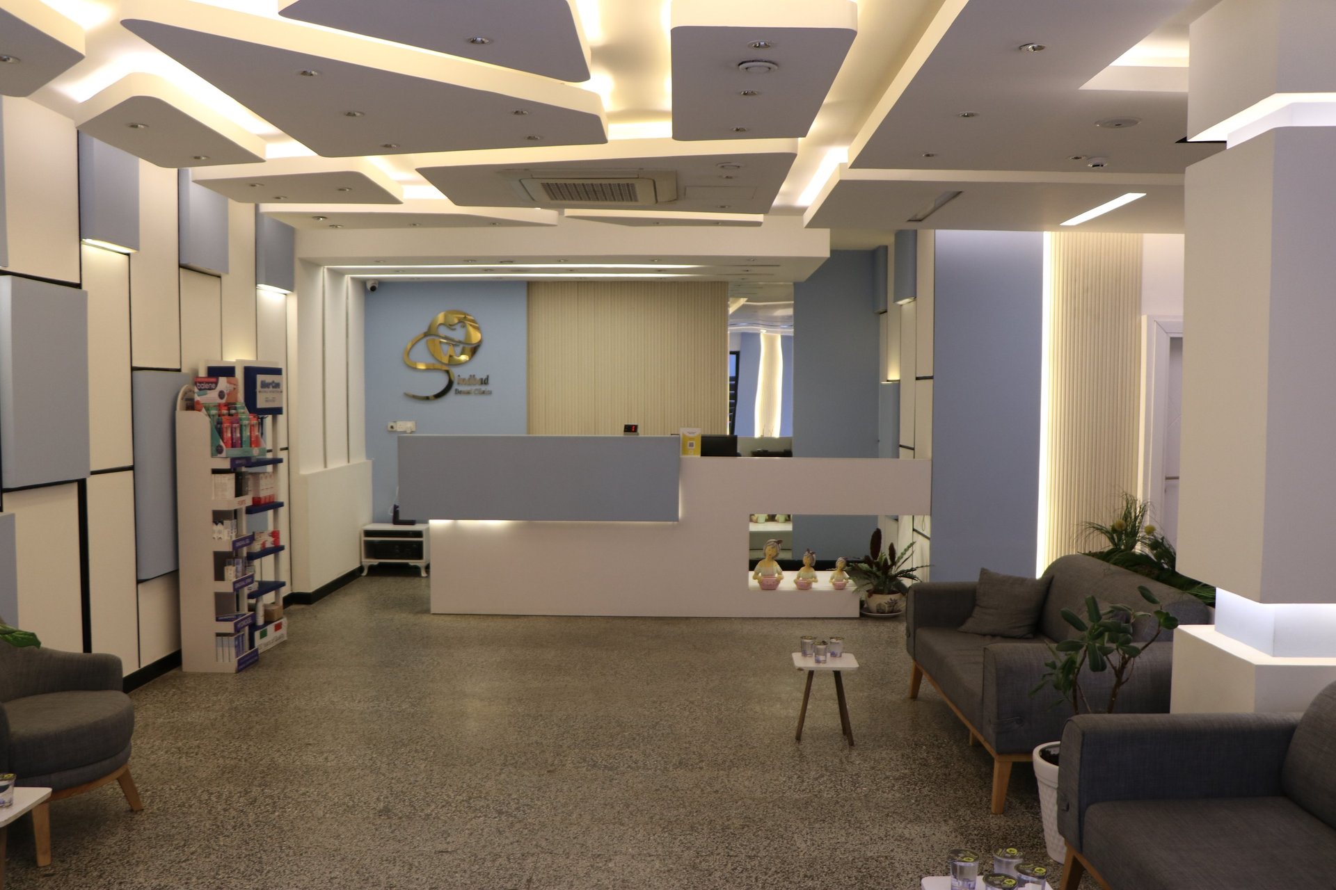 blue couch beside green potted plant