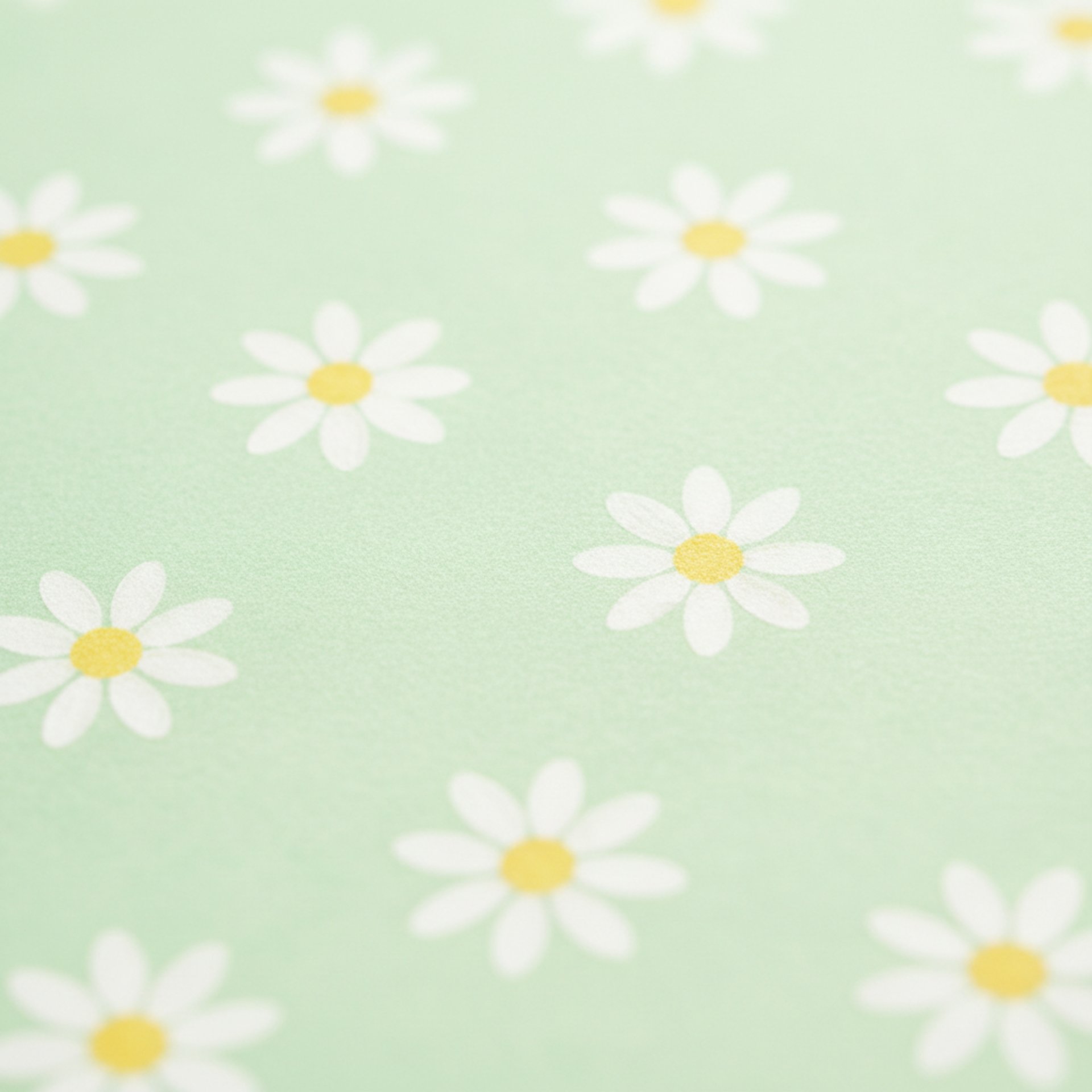 a group of yellow flowers with a cloudy sky in the background