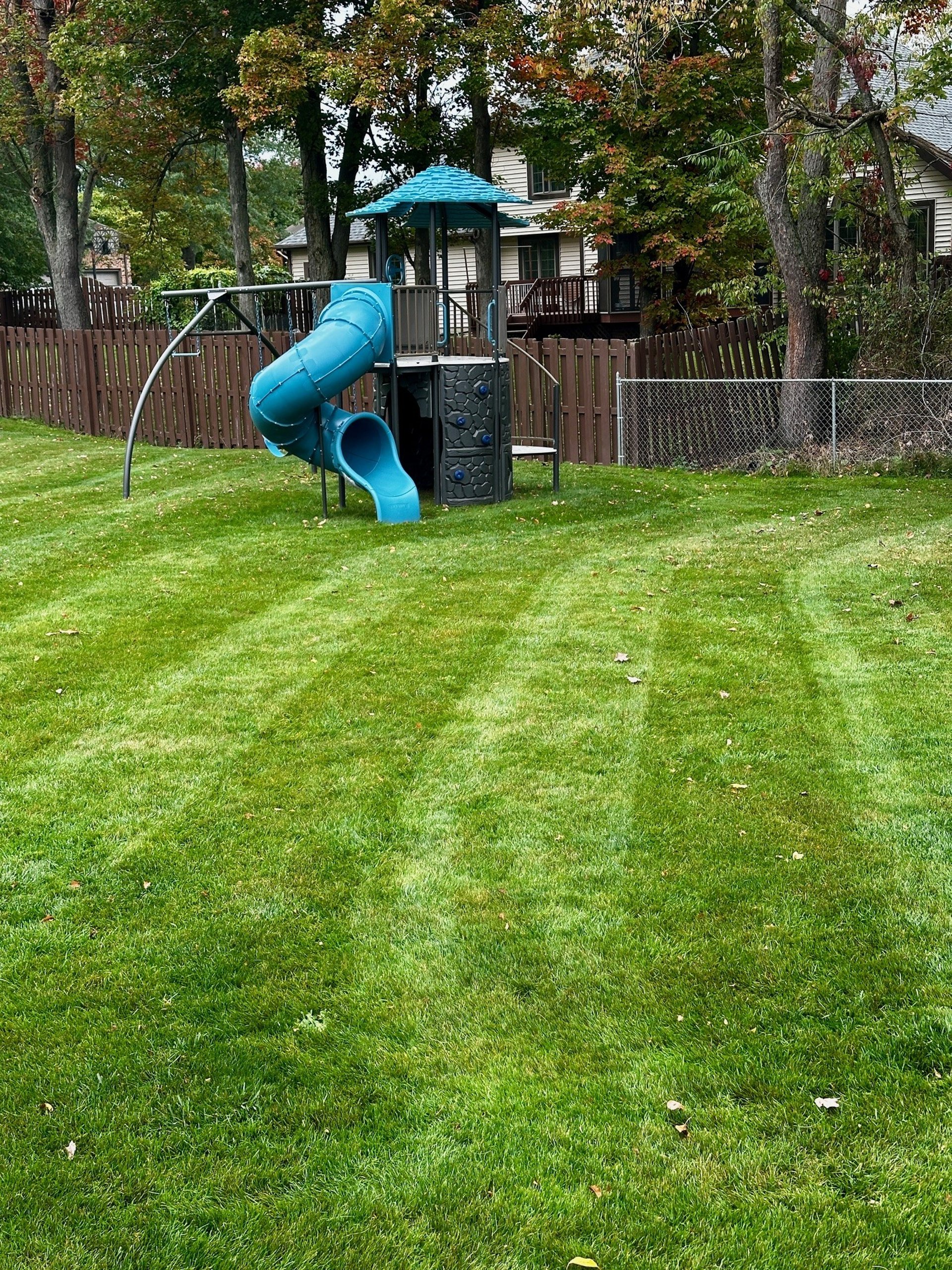 woman holding dried flower
