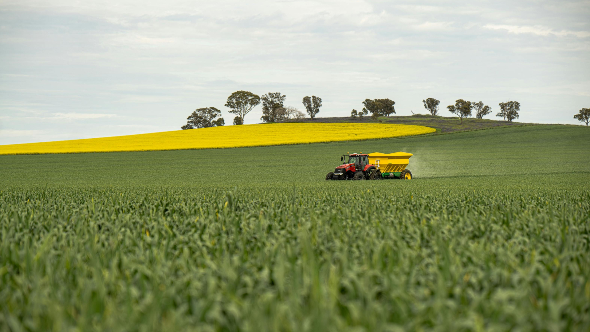 black and brown leather padded tub sofa