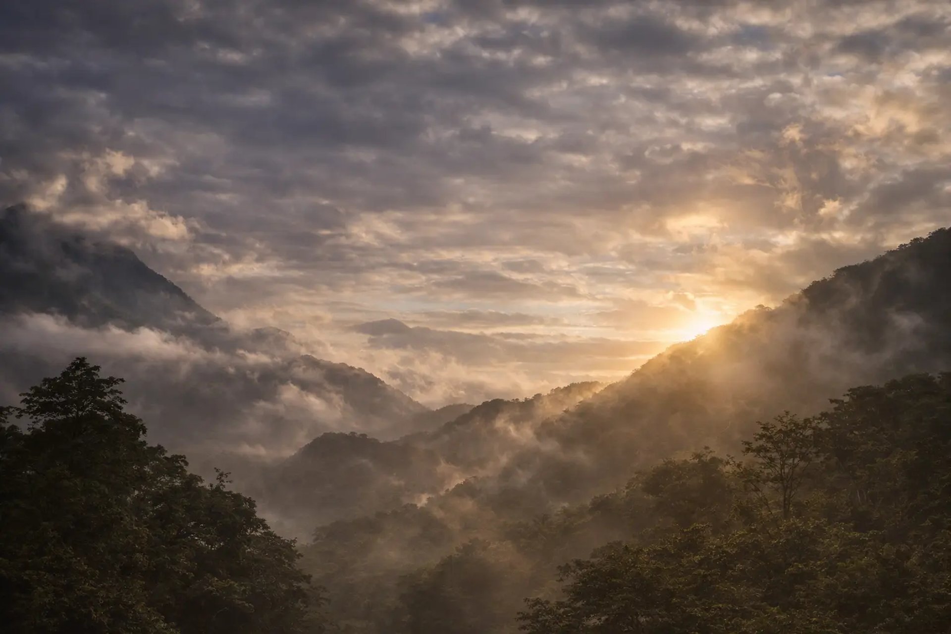 black and brown leather padded tub sofa