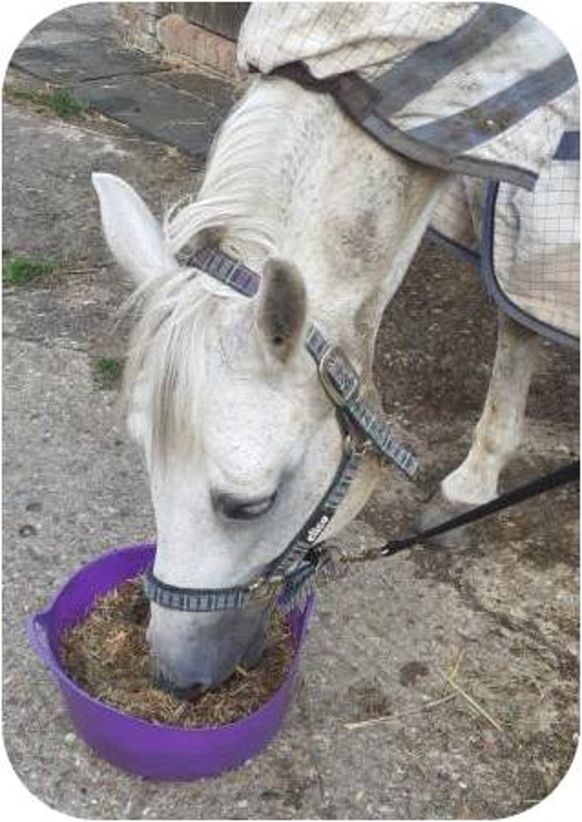 black and brown leather padded tub sofa