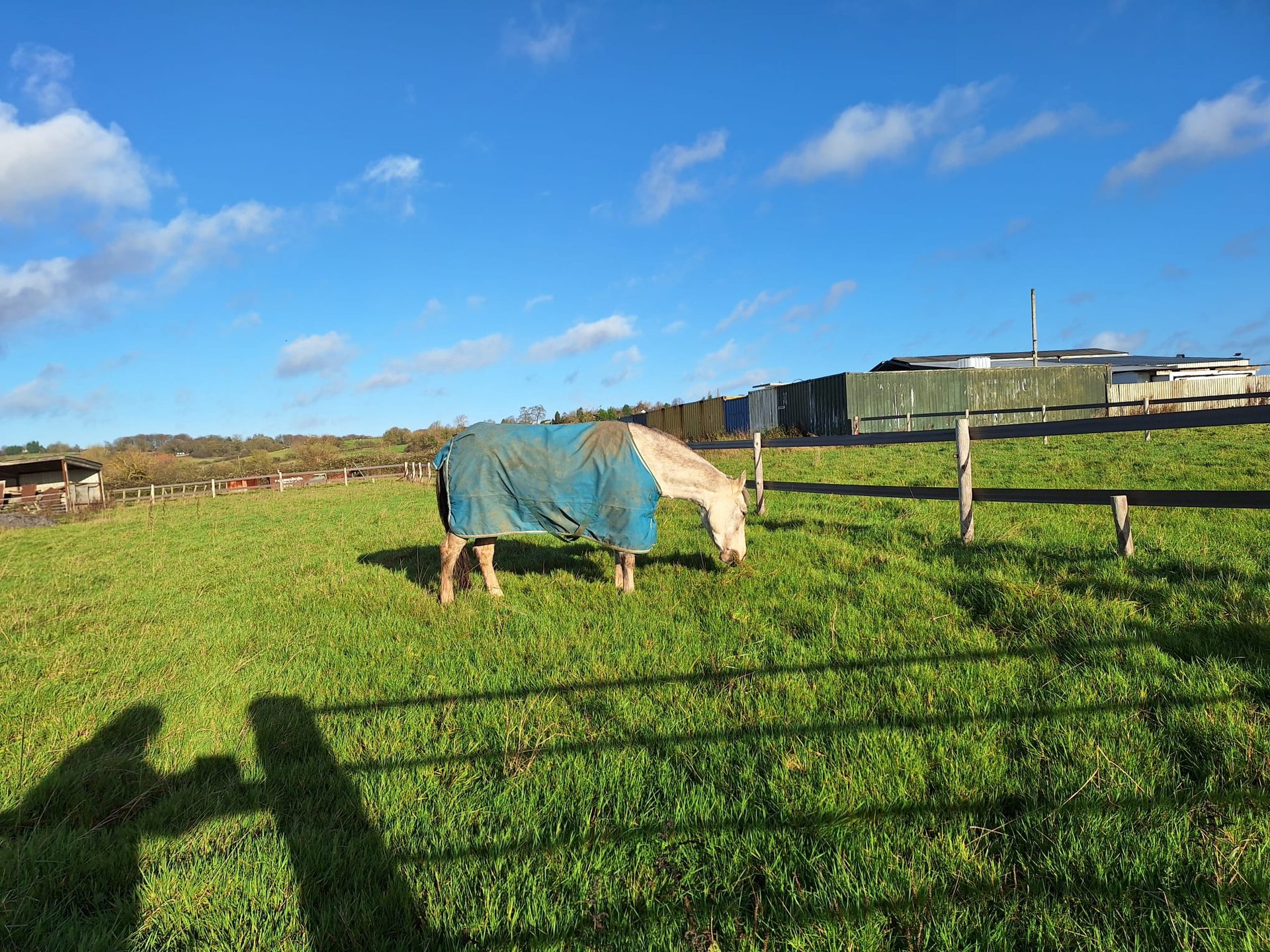 black and brown leather padded tub sofa