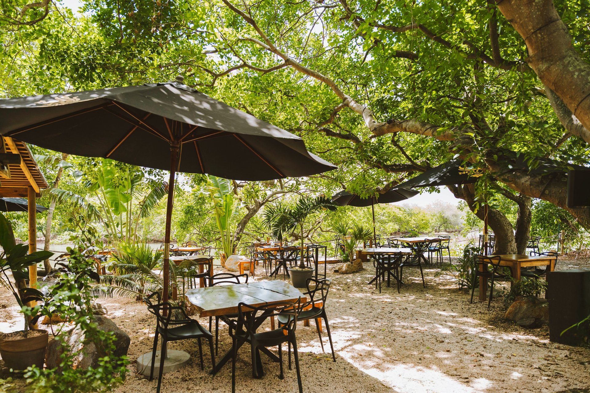 black and white bed linen
