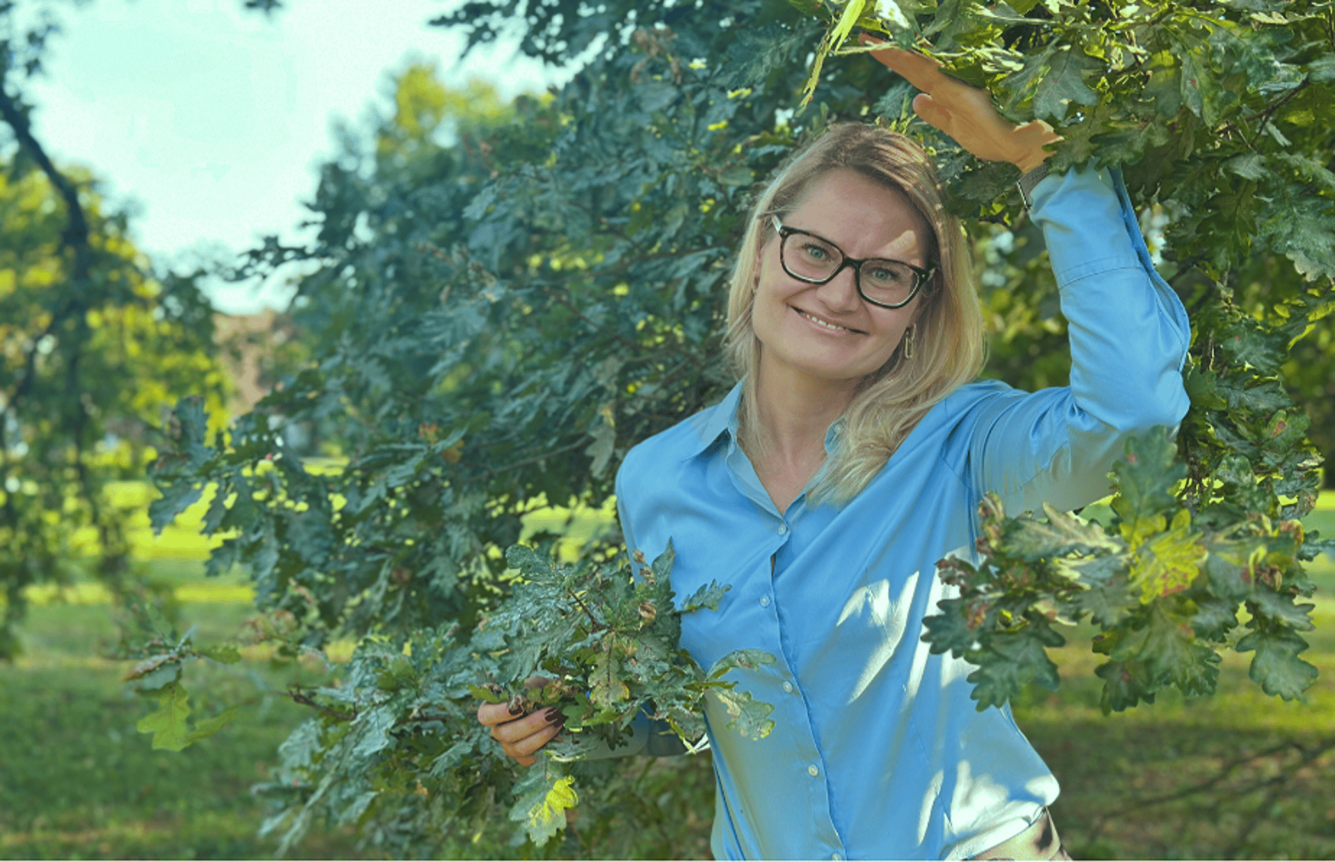 black blue and yellow textile