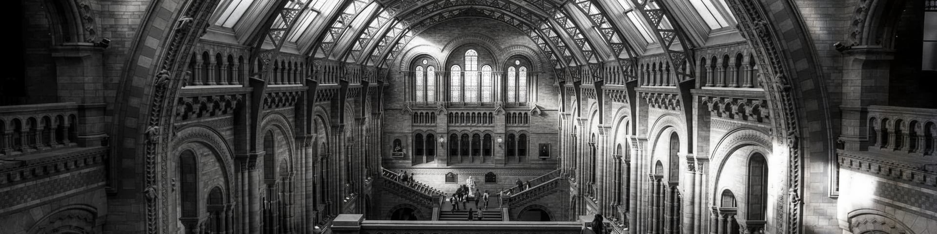 black and brown leather padded tub sofa