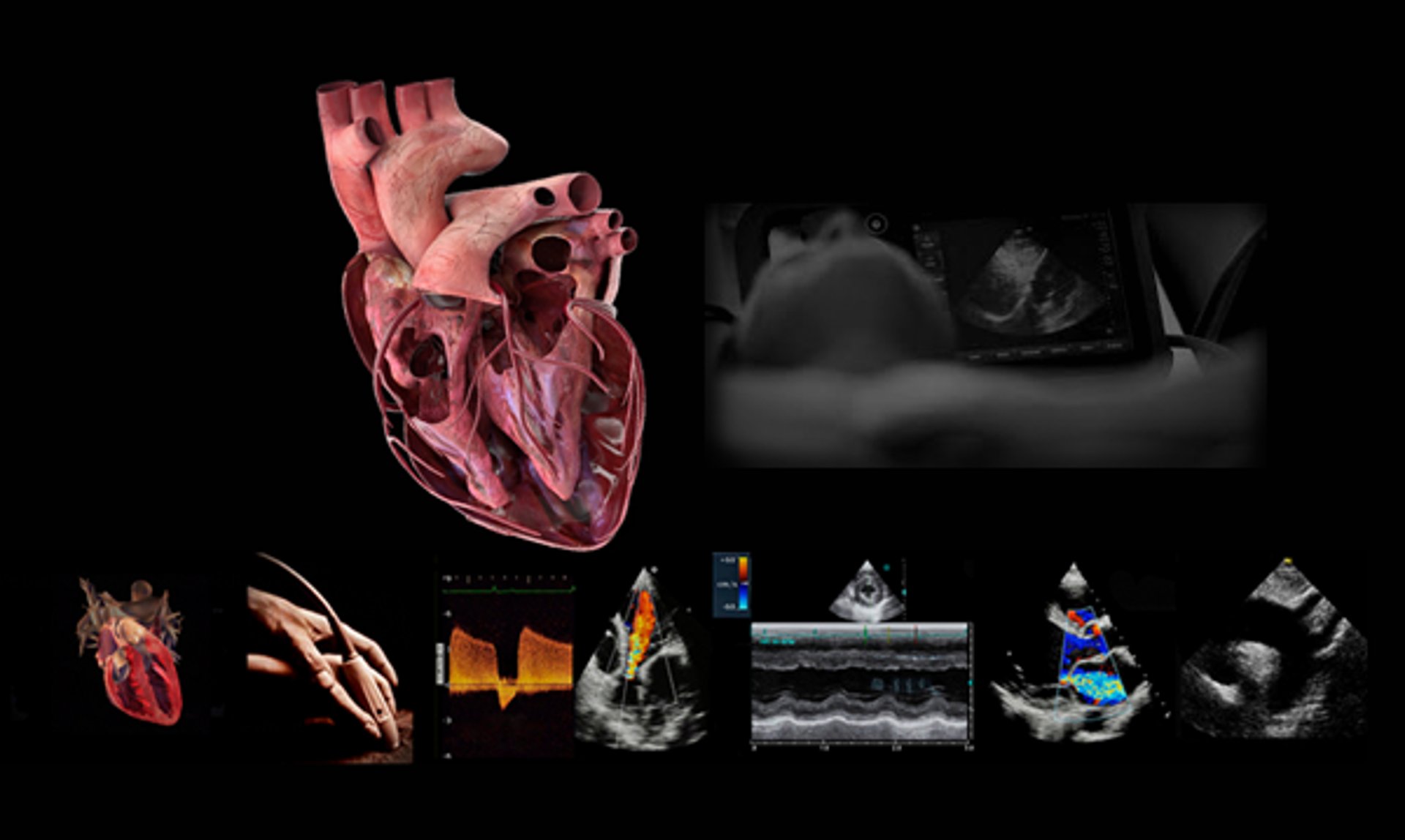 an abstract photo of a curved building with a blue sky in the background