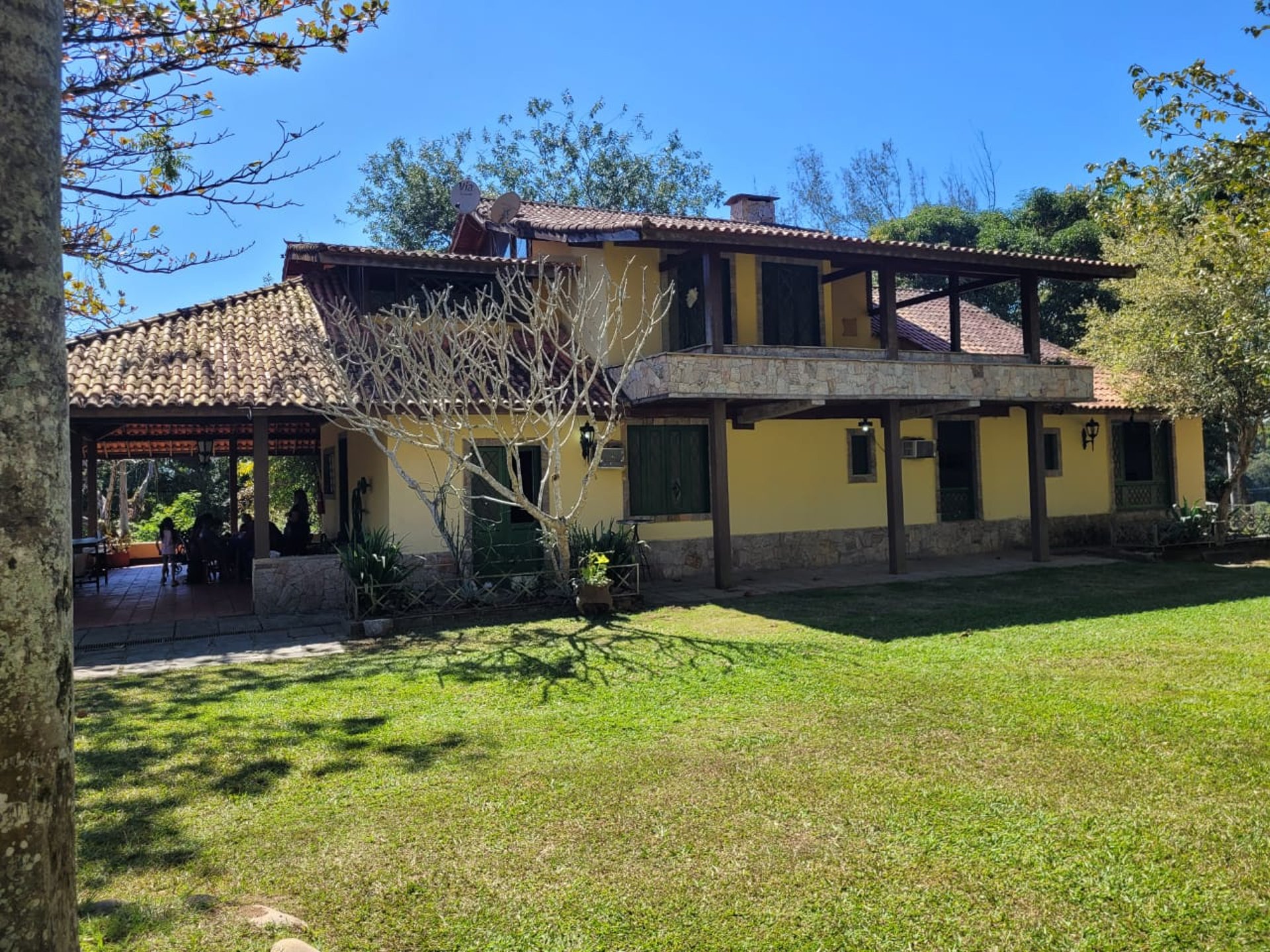 green leafed tree surrounded by fog during daytime