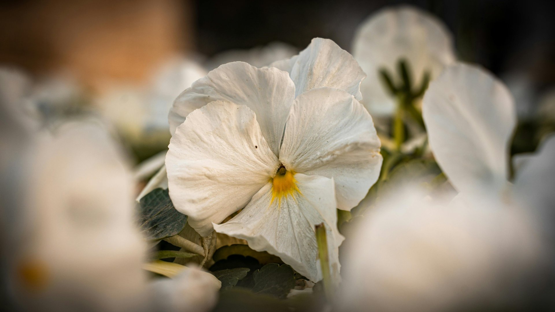 woman wearing yellow long-sleeved dress under white clouds and blue sky during daytime