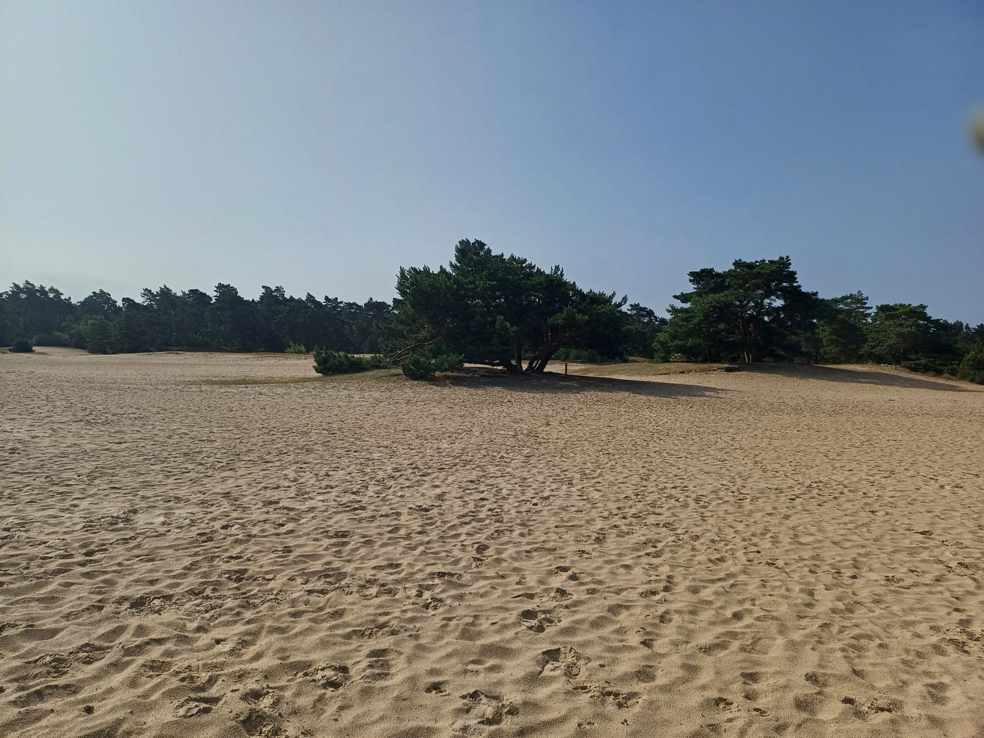 gray computer monitor