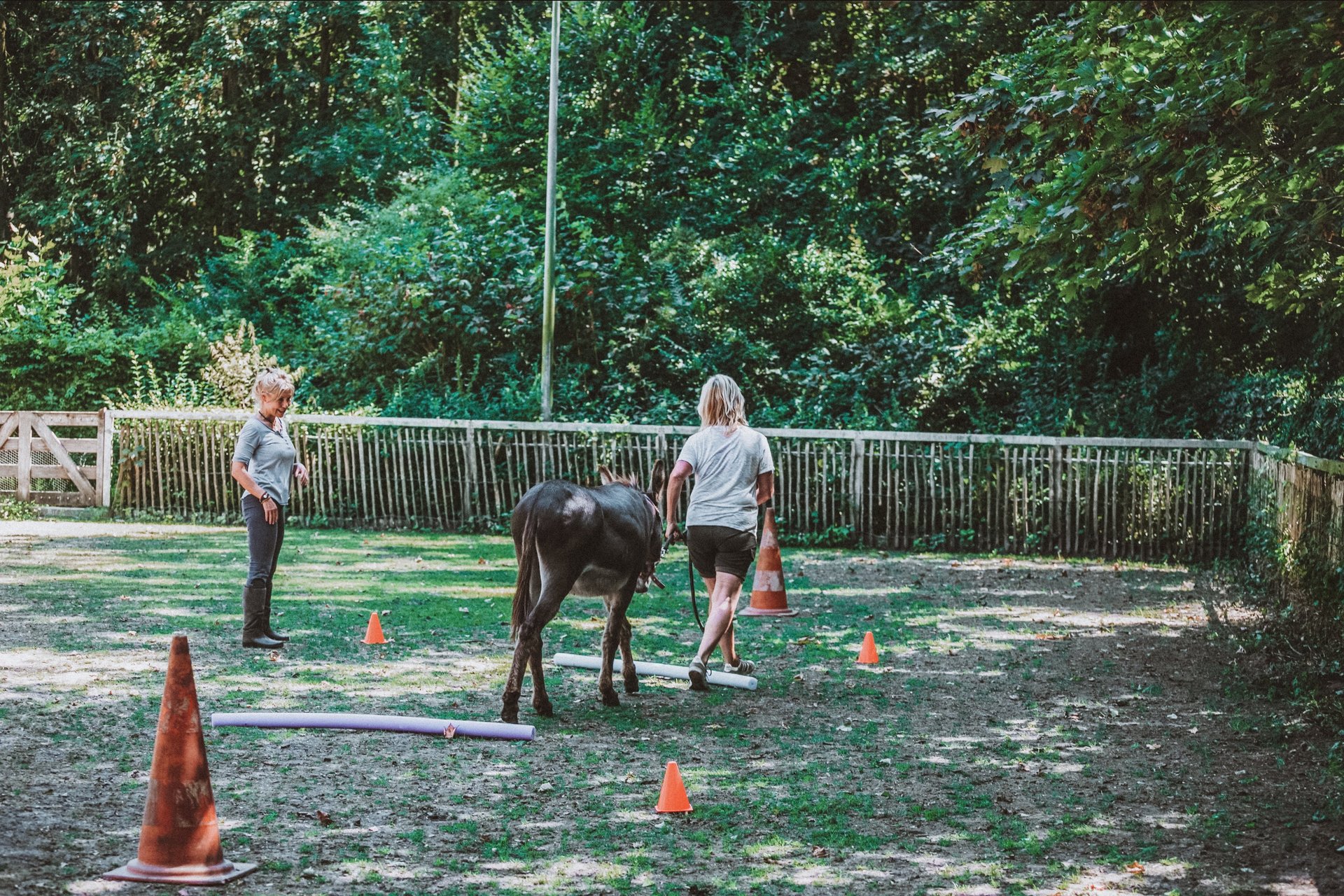 black blue and yellow textile