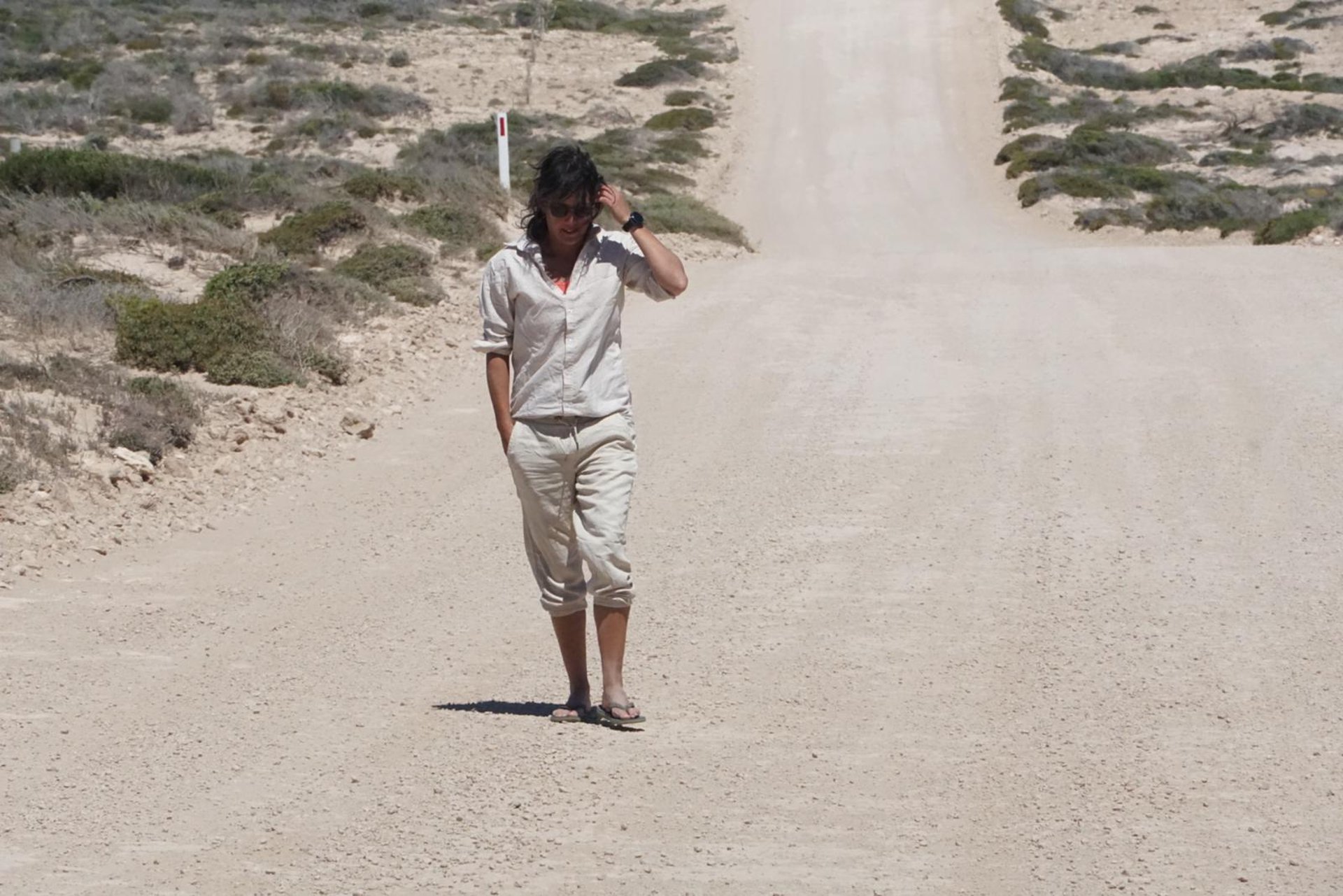 assorted-color hanging clothes lot