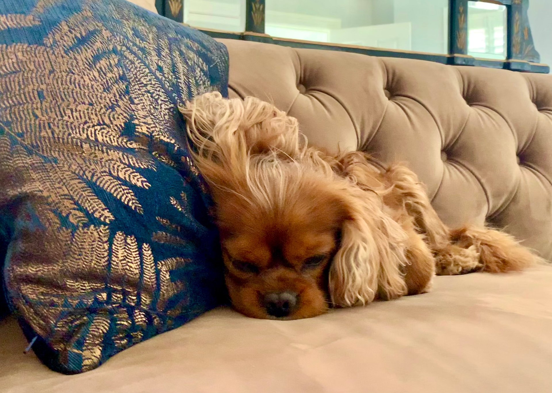 woman wearing yellow long-sleeved dress under white clouds and blue sky during daytime