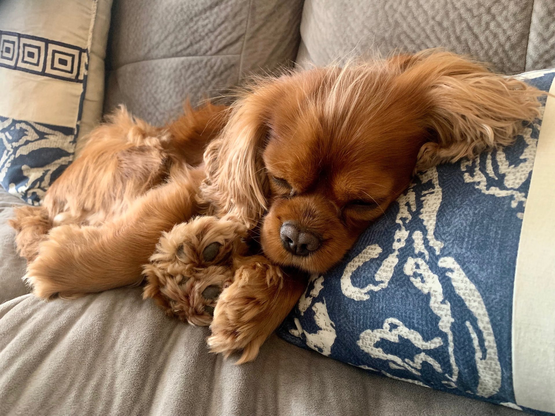 woman wearing yellow long-sleeved dress under white clouds and blue sky during daytime