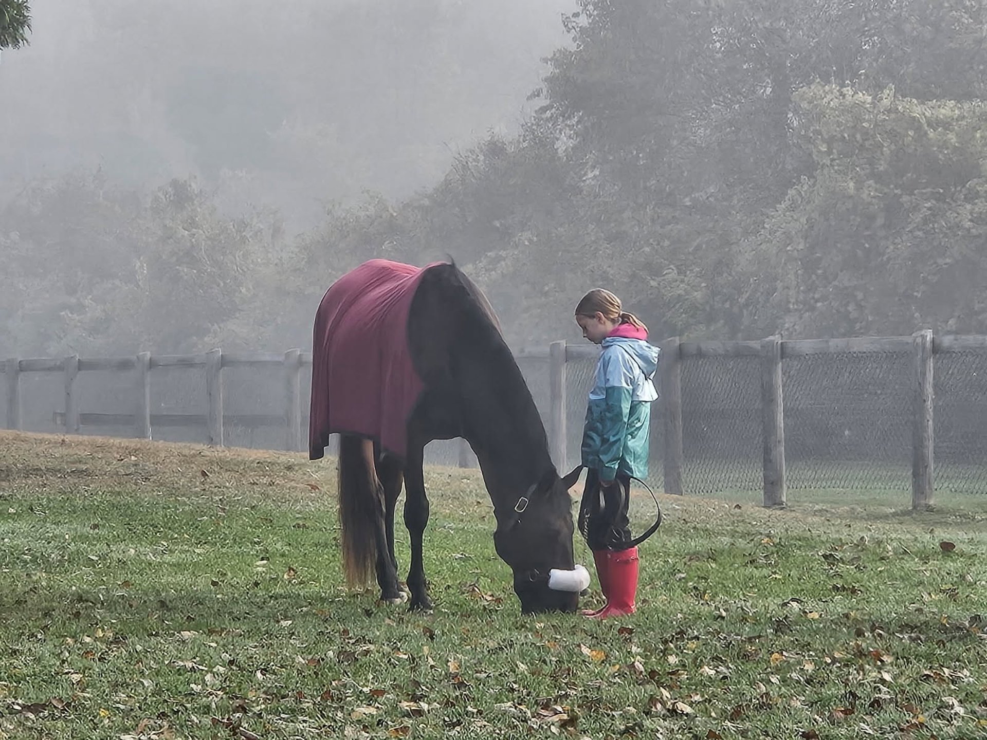 gray computer monitor