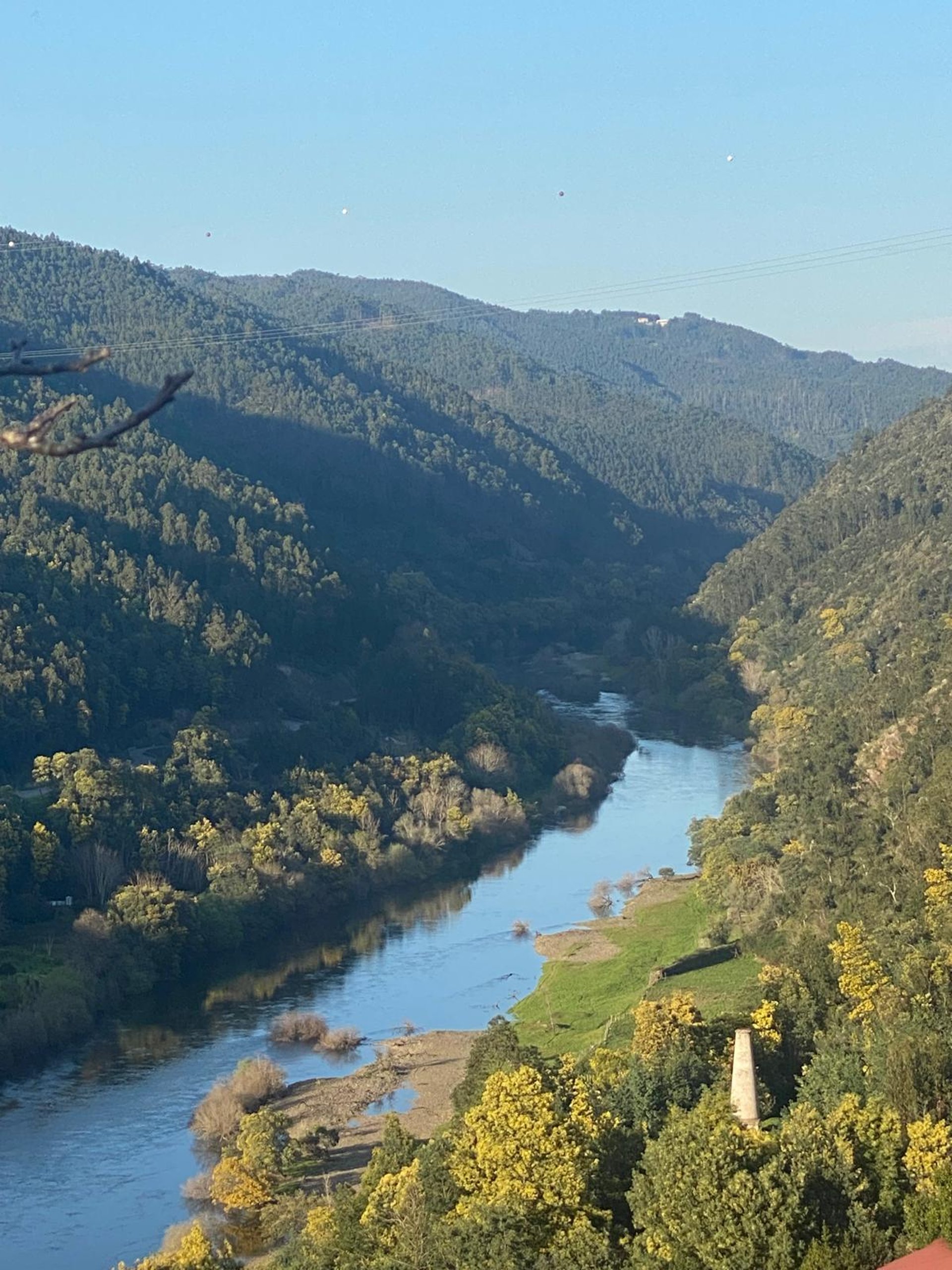 black and brown leather padded tub sofa