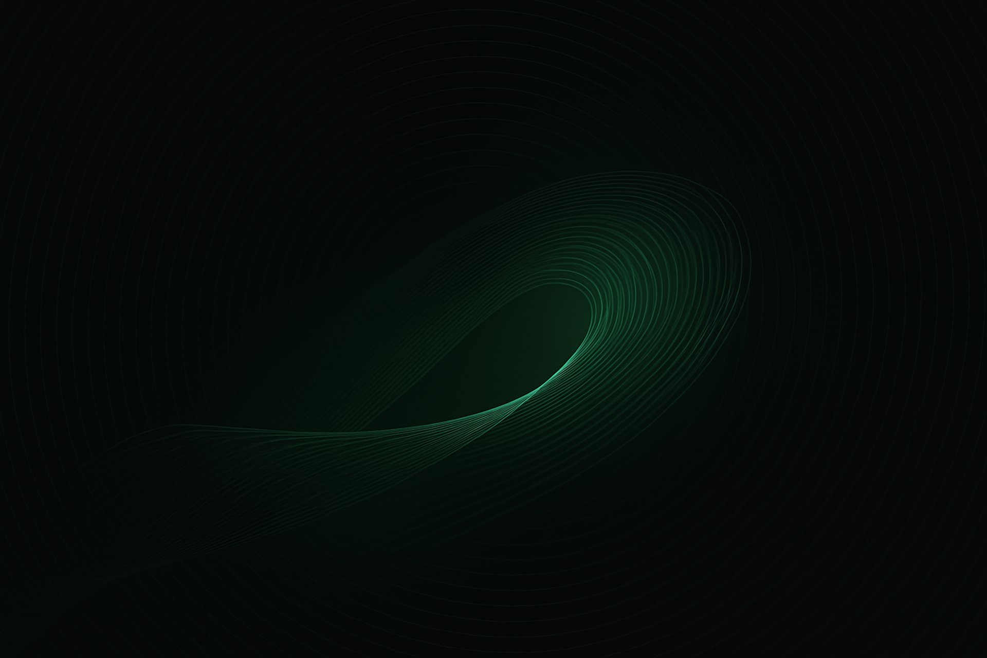 a black and white photo of a heart