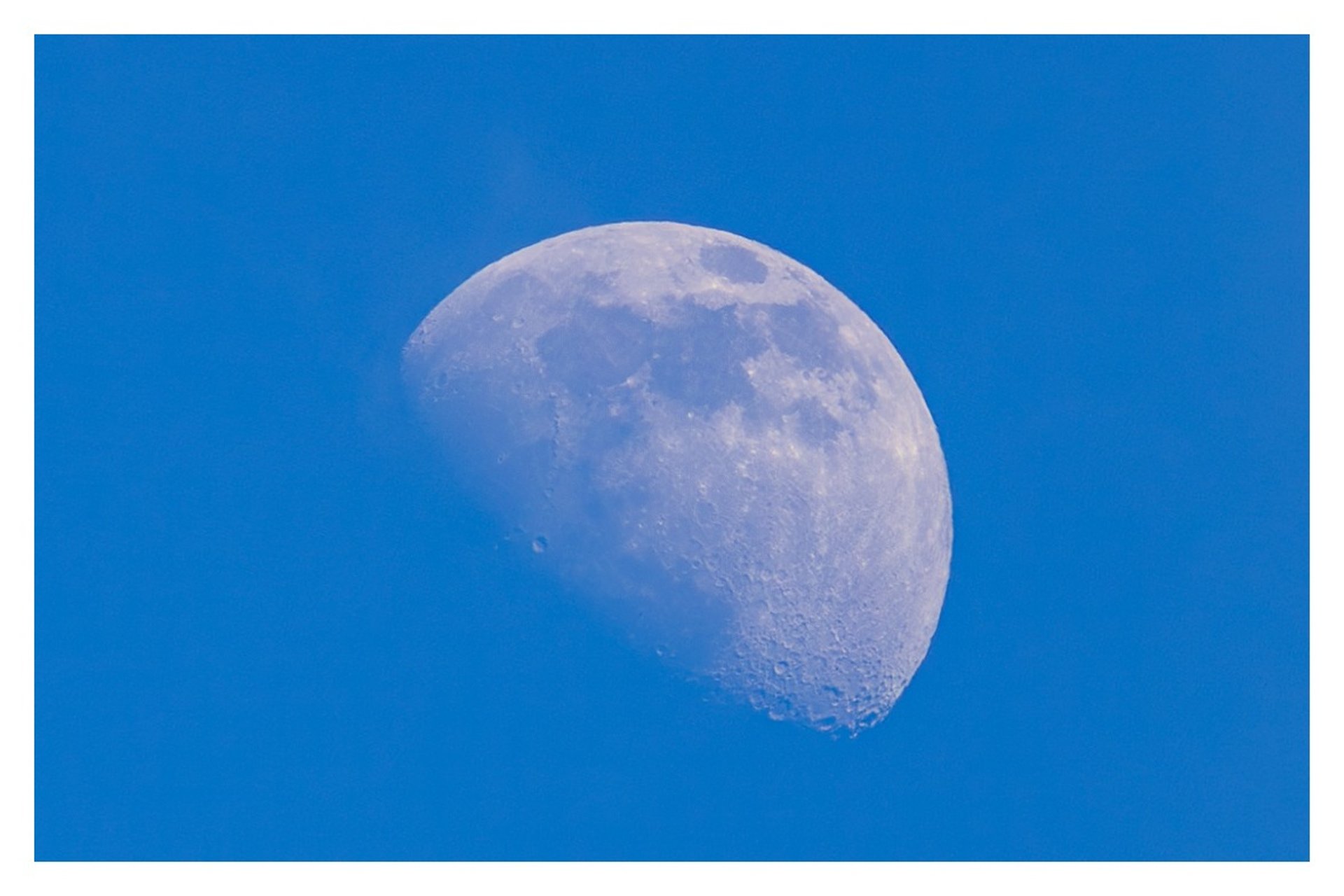 water droplets on green leaves