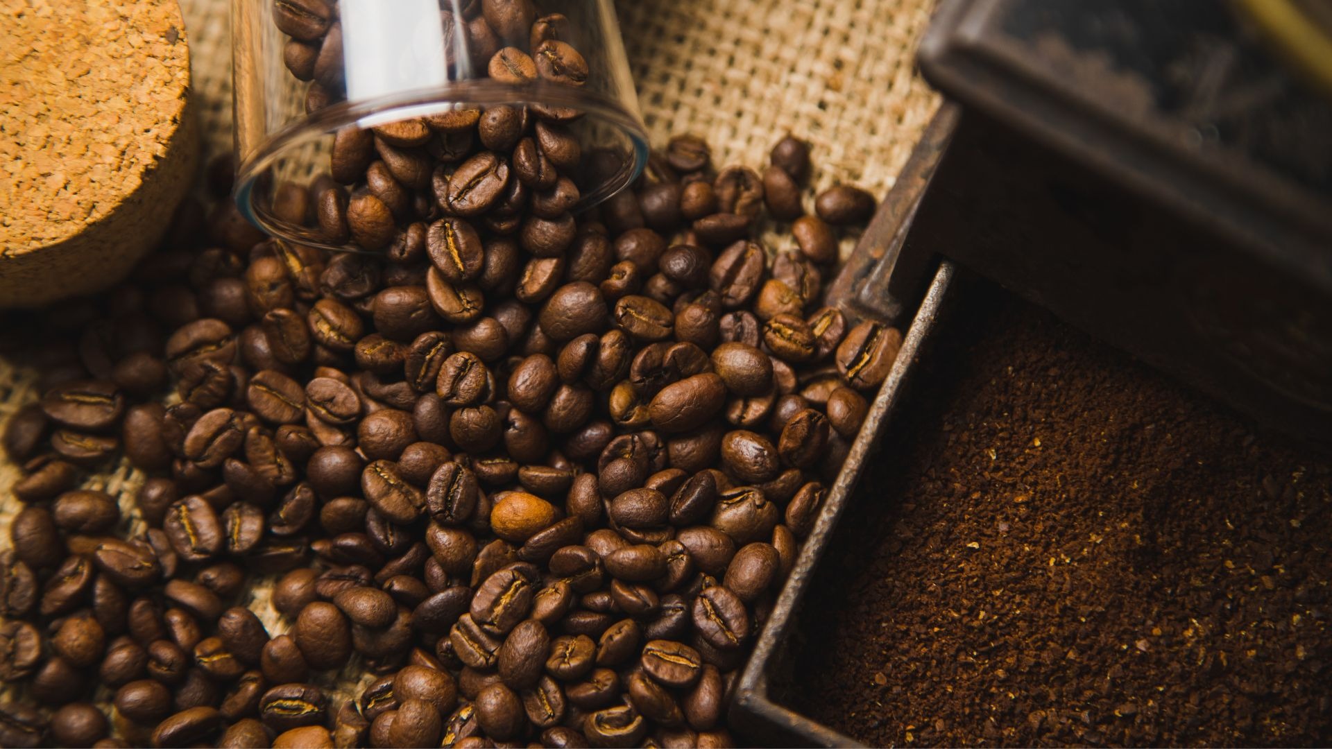 brown coffee bean lot