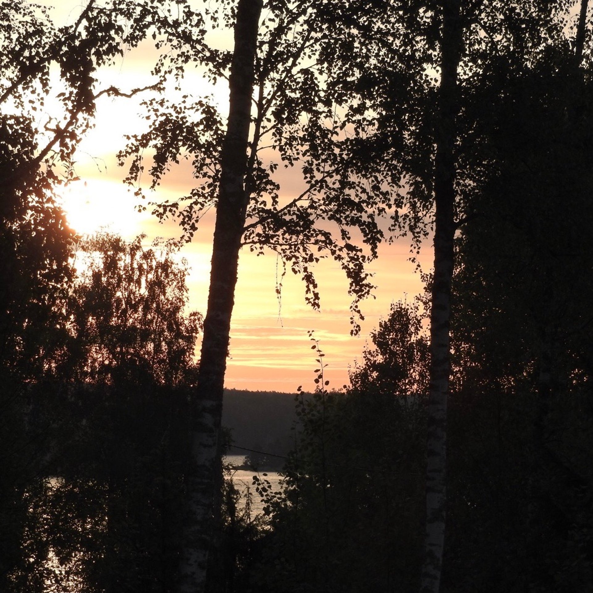 black and brown leather padded tub sofa