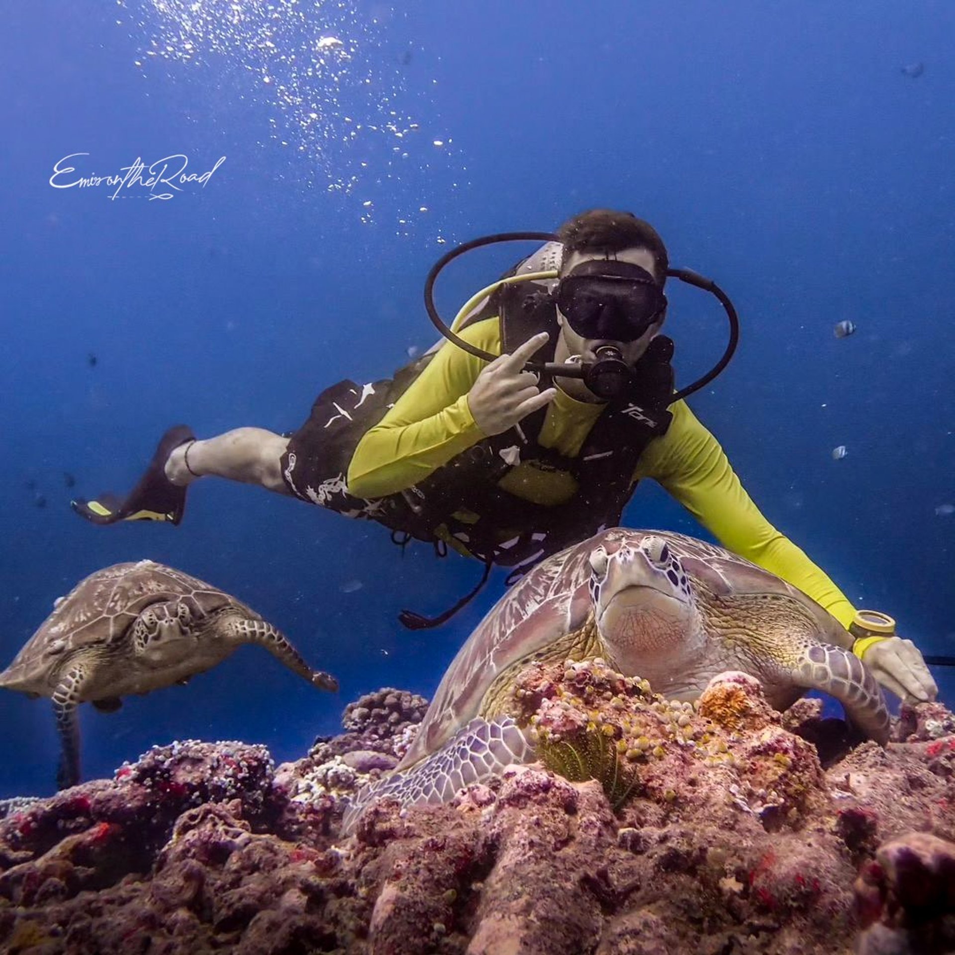 An incredible encounter with a green sea turtle while scuba diving with Gili Scuba Diving in Gili Trawangan.