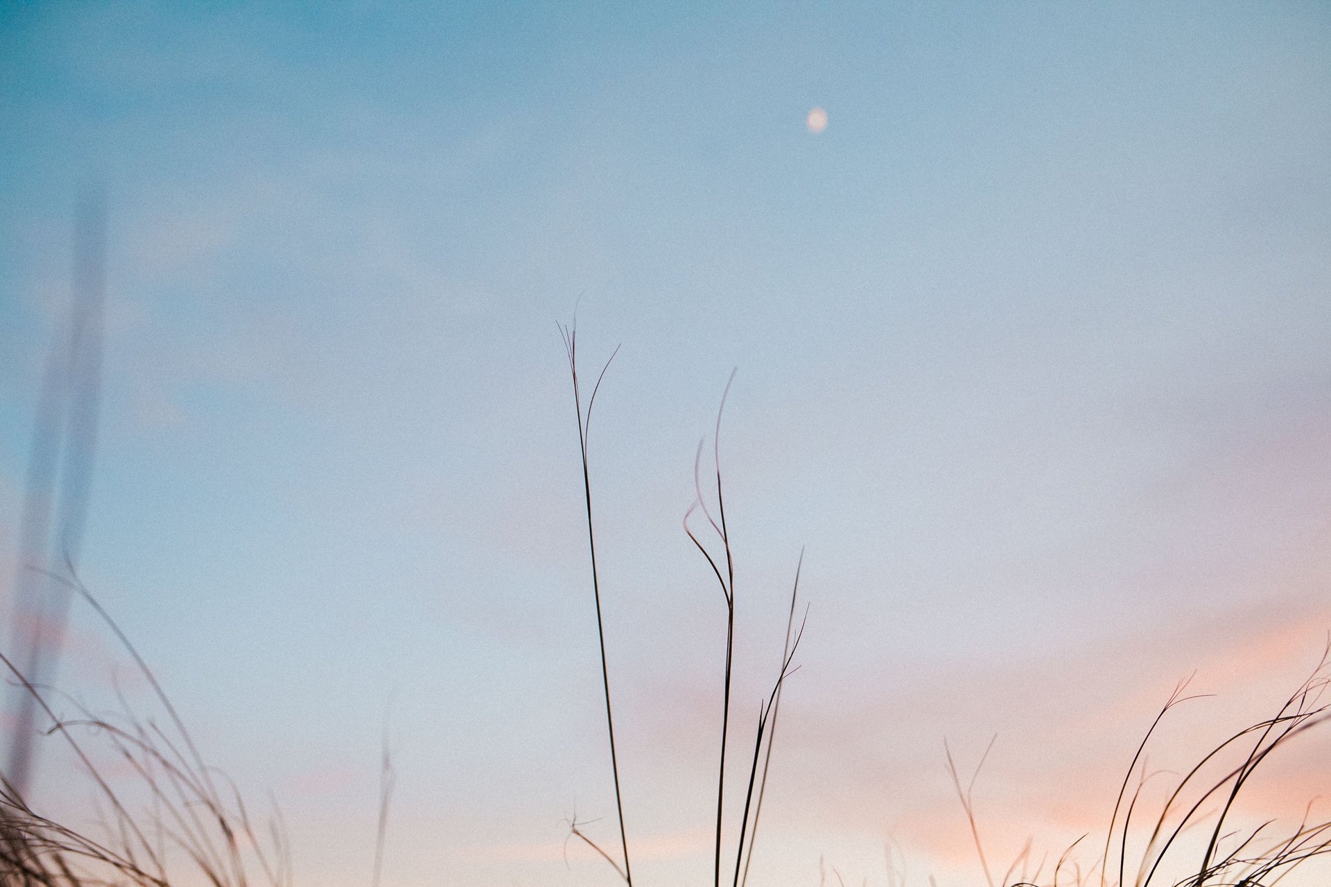 an abstract photo of a curved building with a blue sky in the background