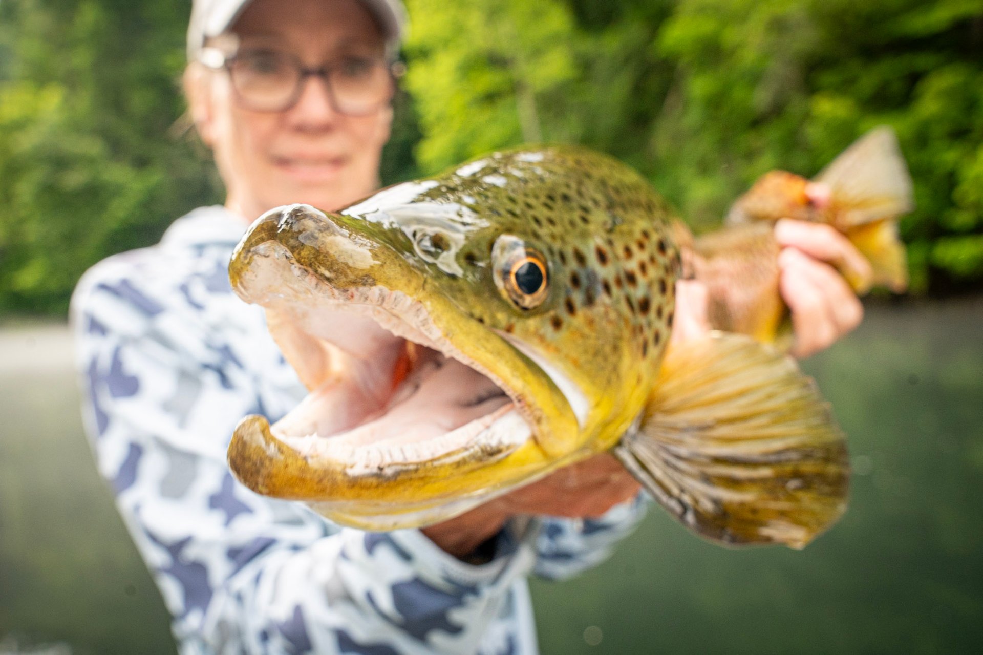 Watauga River summer fly fishing 2026