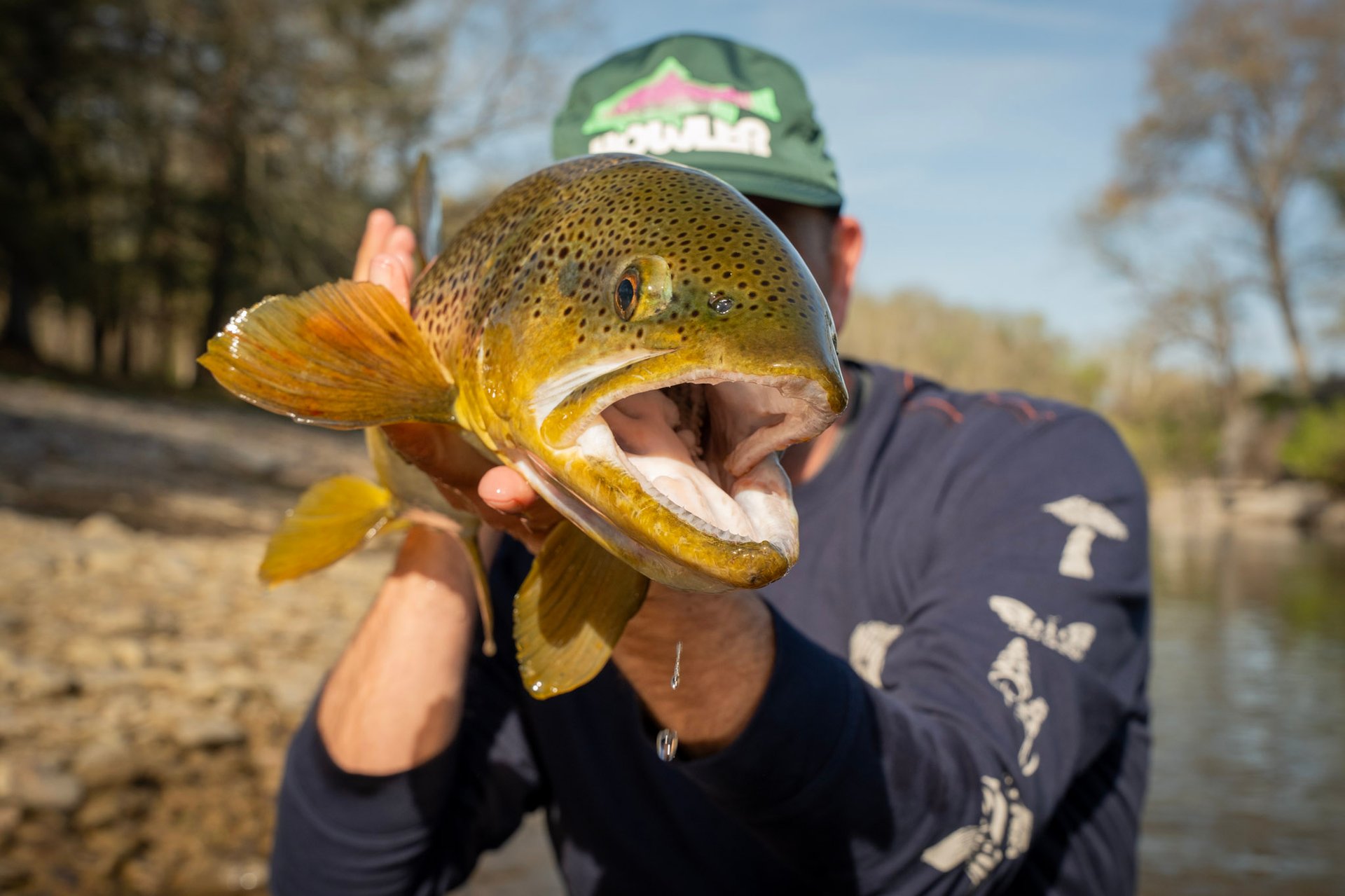 May Fly Fishing Report. South Holston and Watauga River