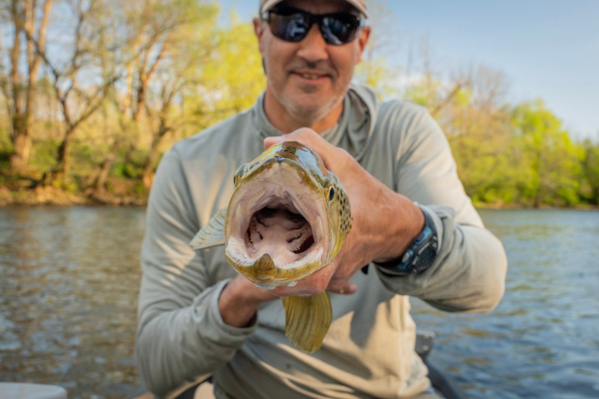 Kype, Hook Jaw Brown trout.